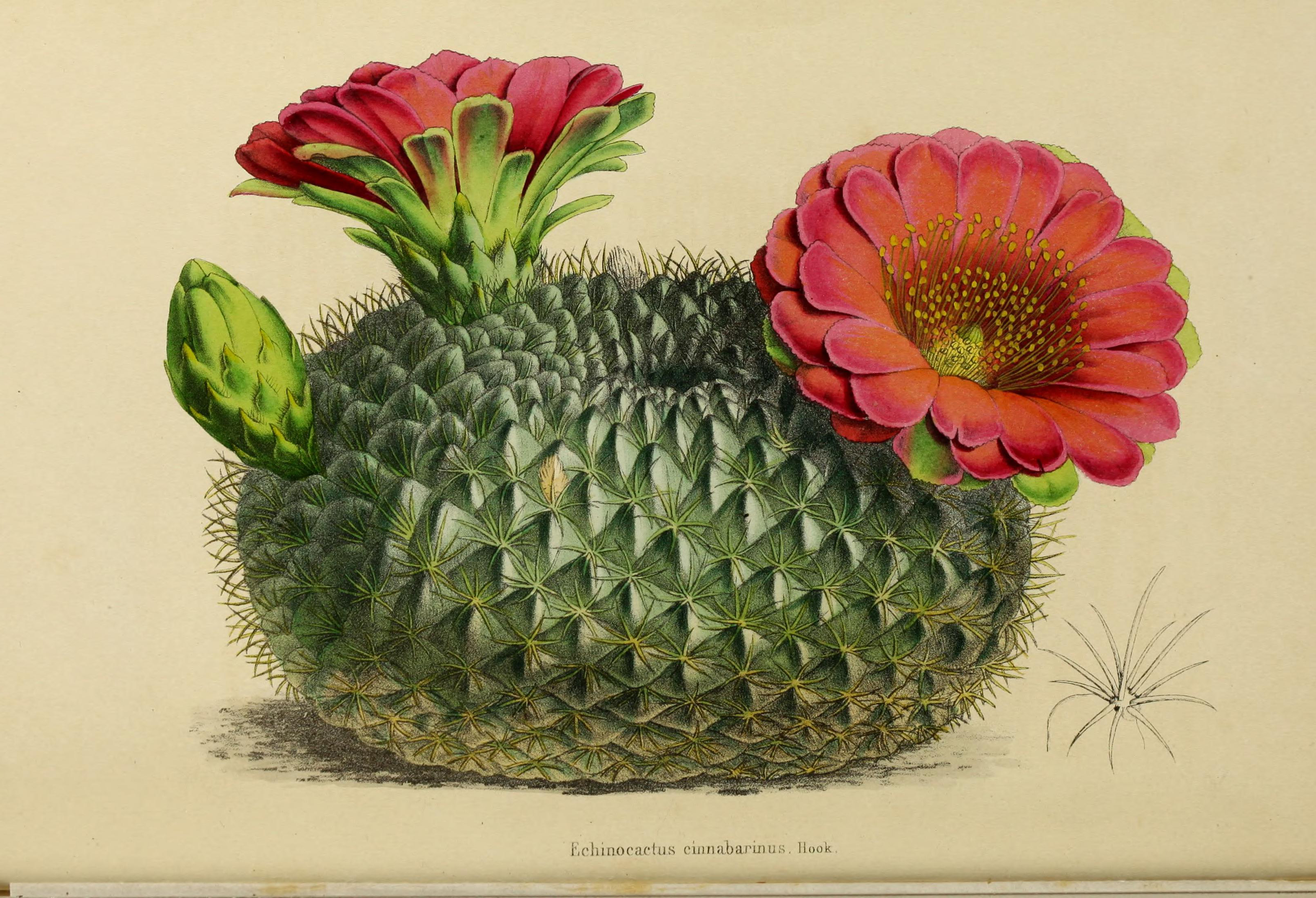 no full size  illustration available (3a)