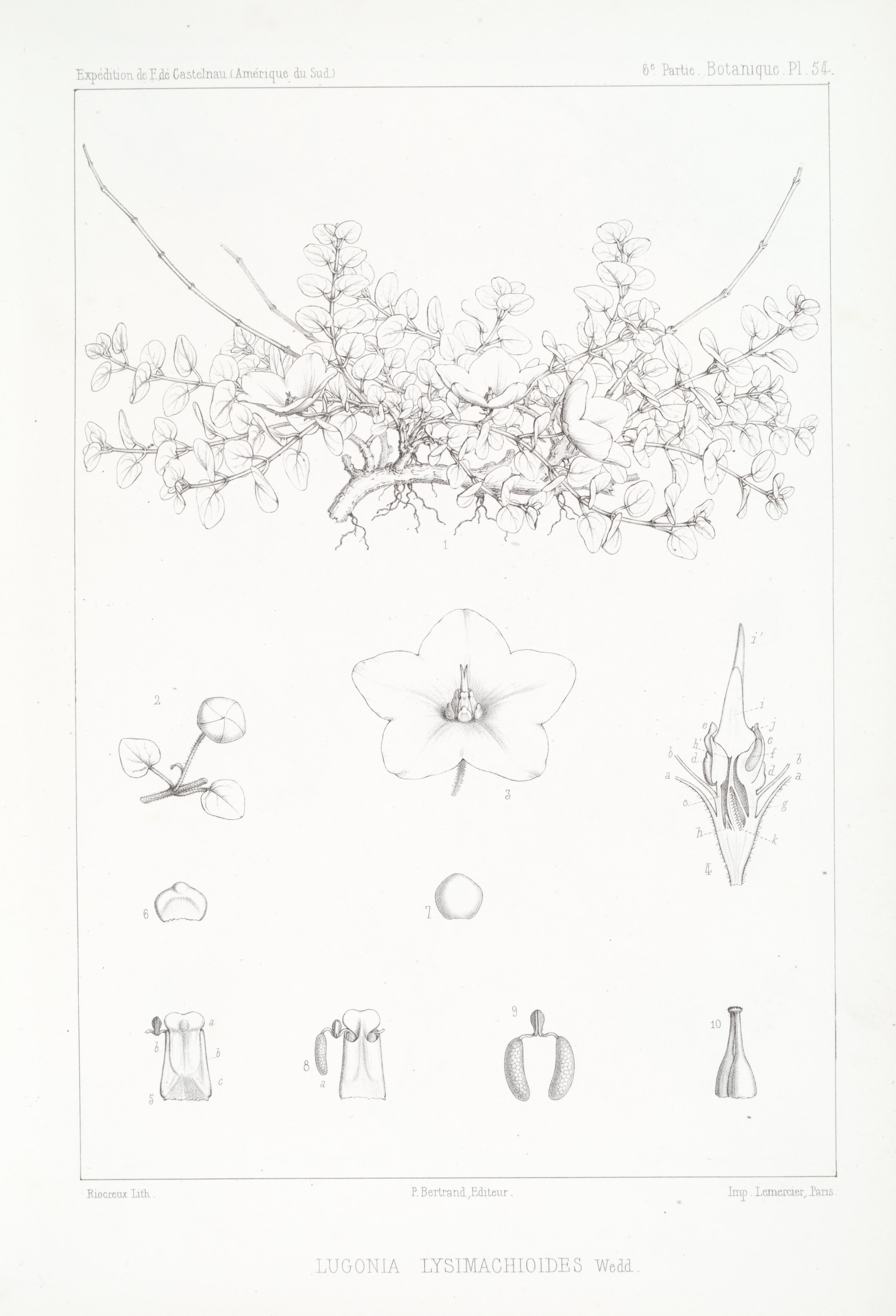 no full size  illustration available (3a)