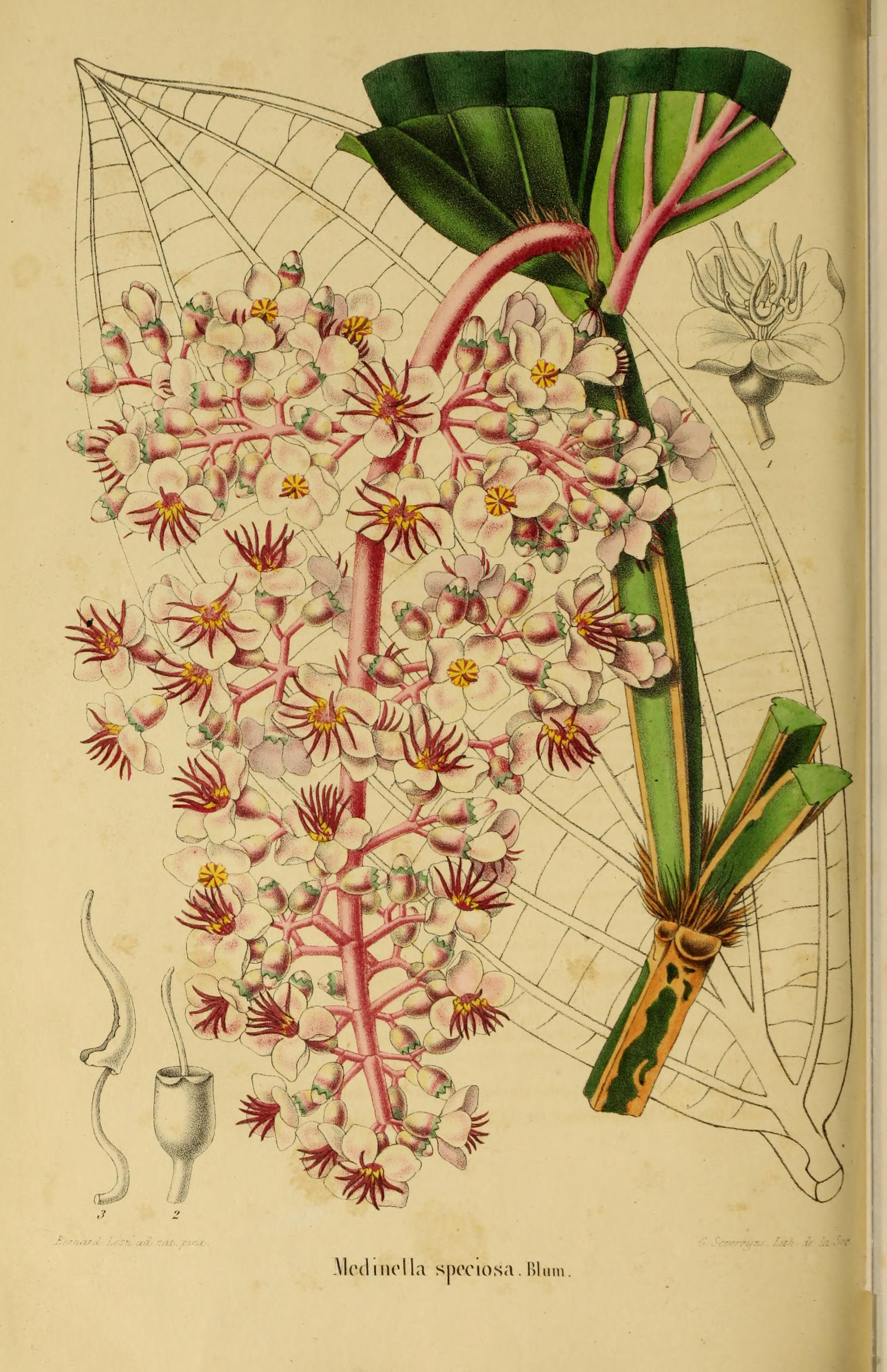 no full size  illustration available (3a)