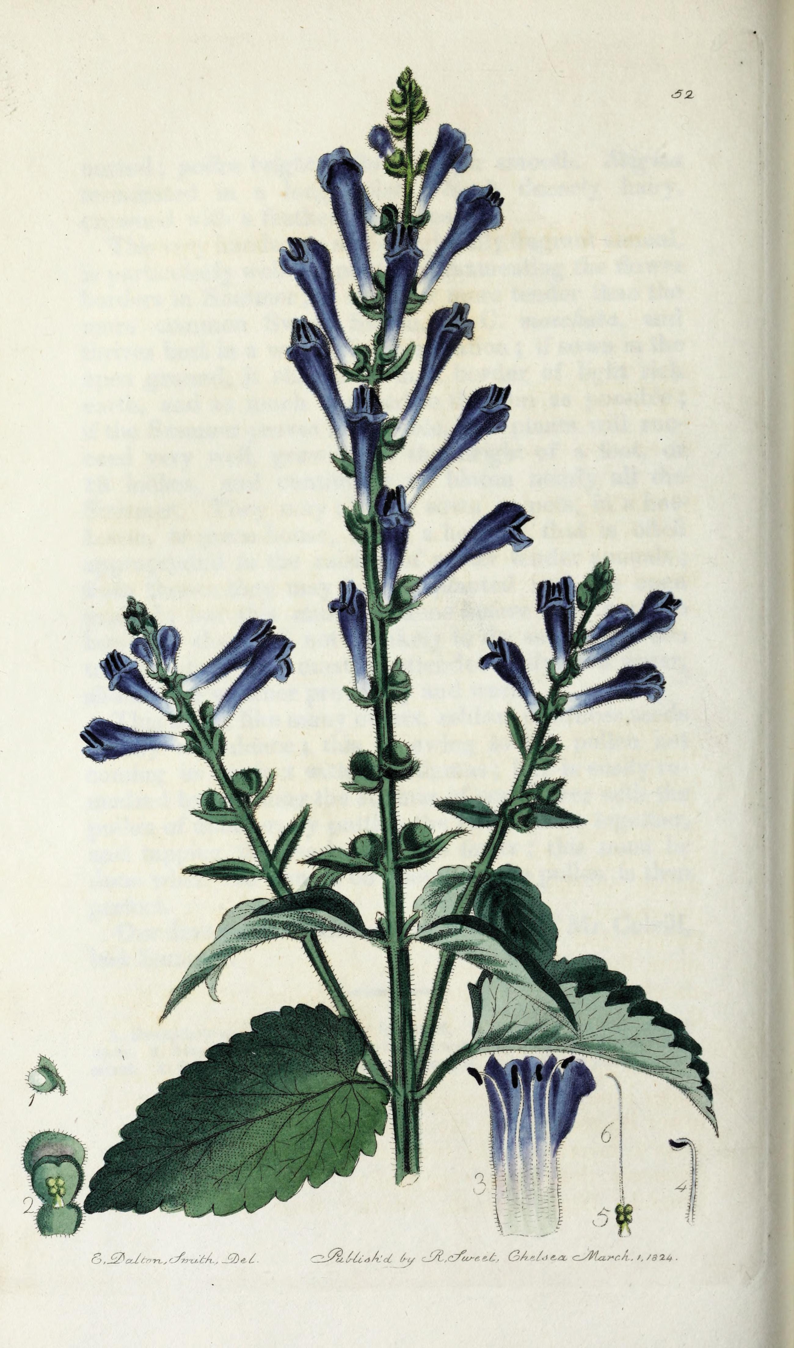 no full size  illustration available (3a)