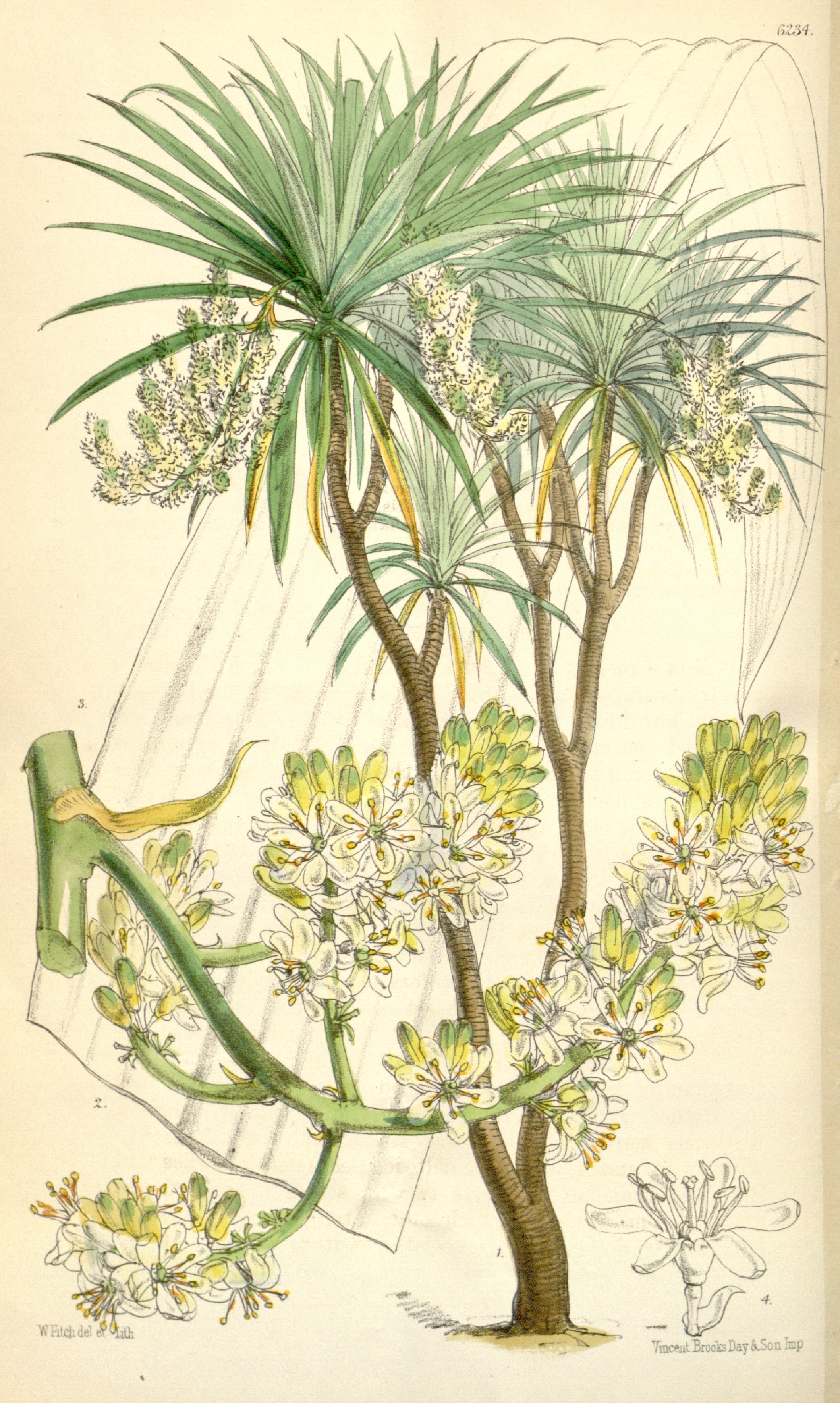 no full size  illustration available (3a)