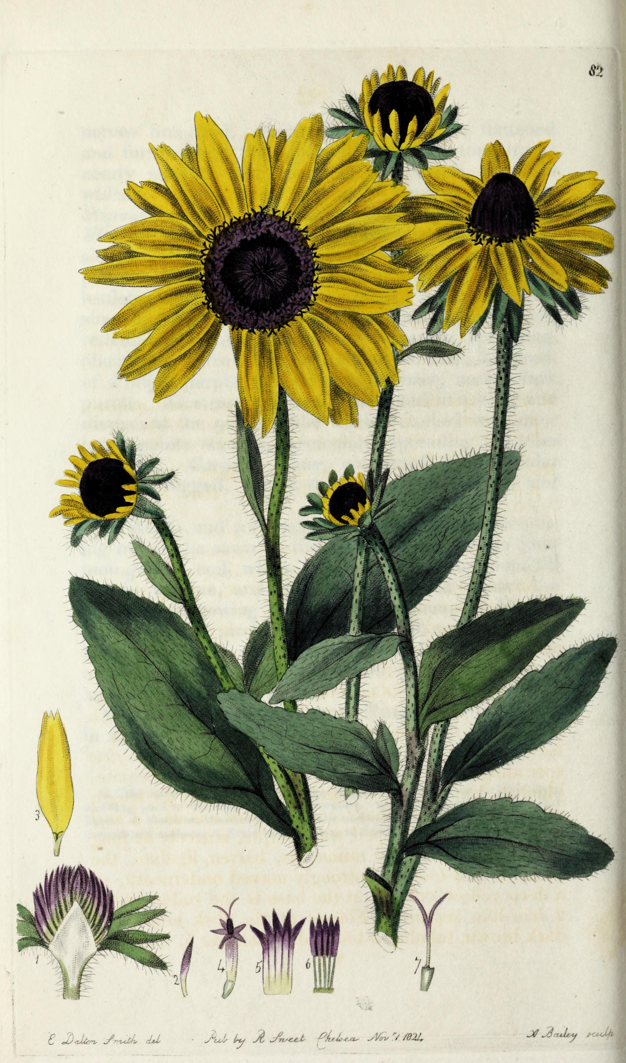 no full size  illustration available (3a)