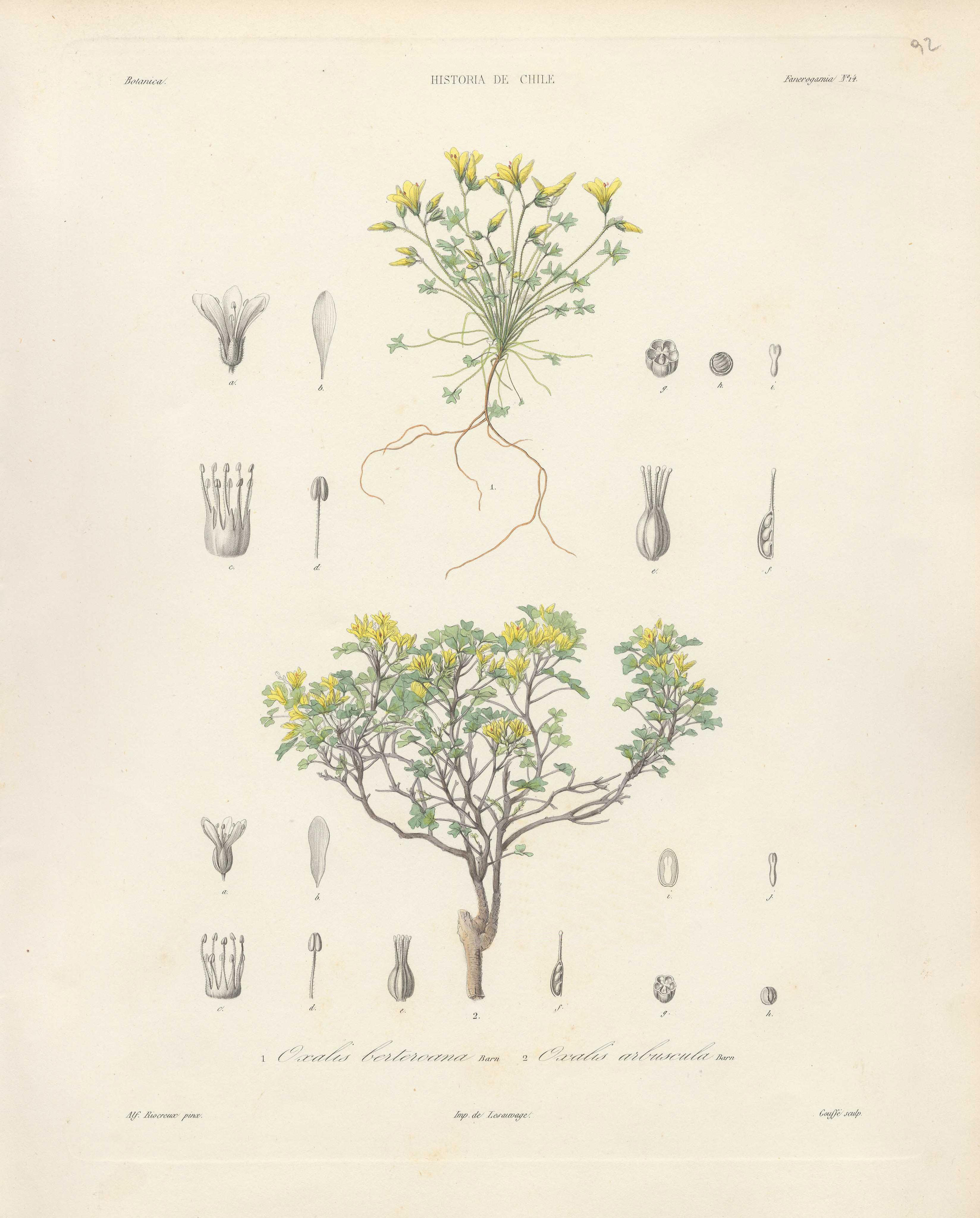 no full size  illustration available (3a)