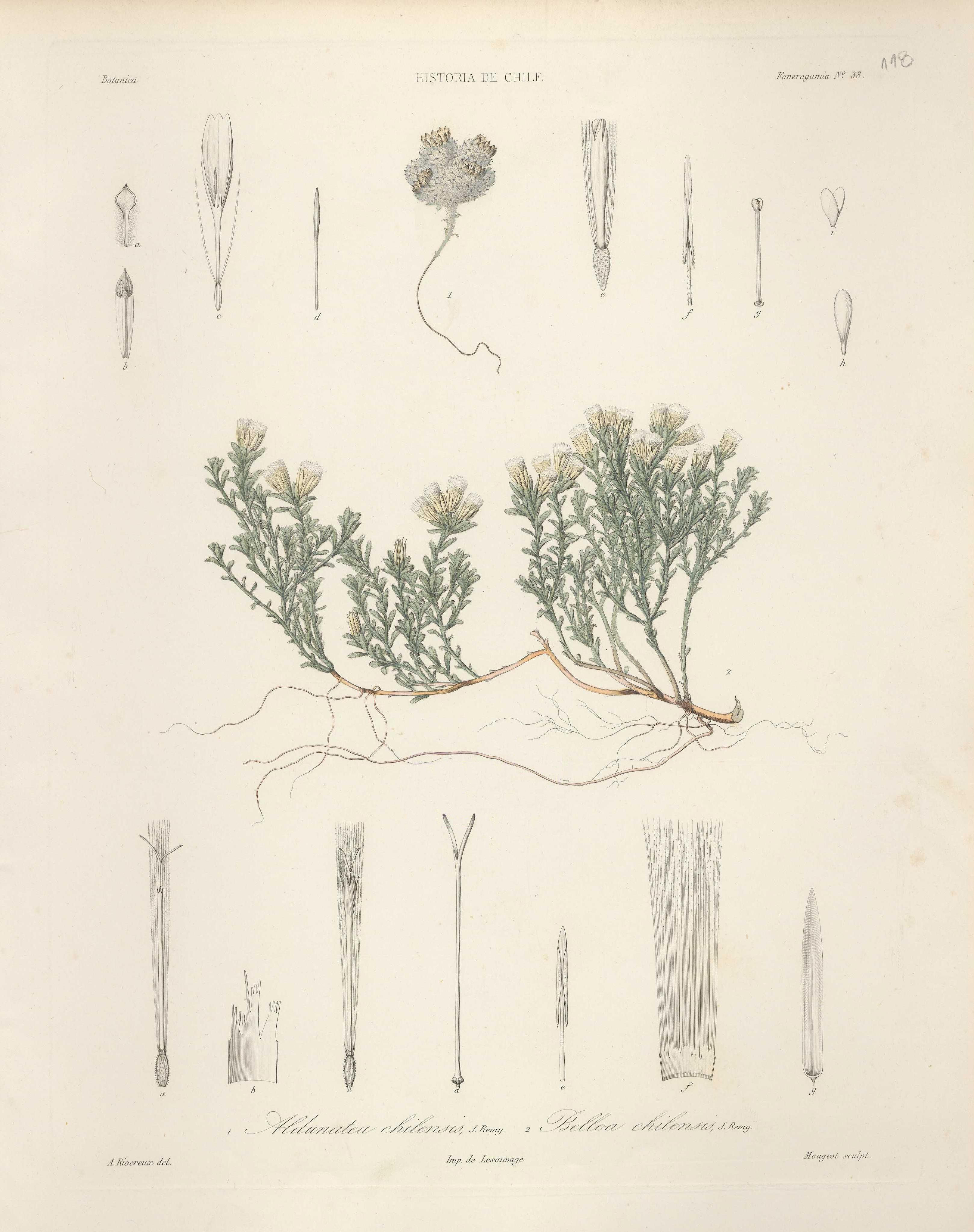 no full size  illustration available (3a)