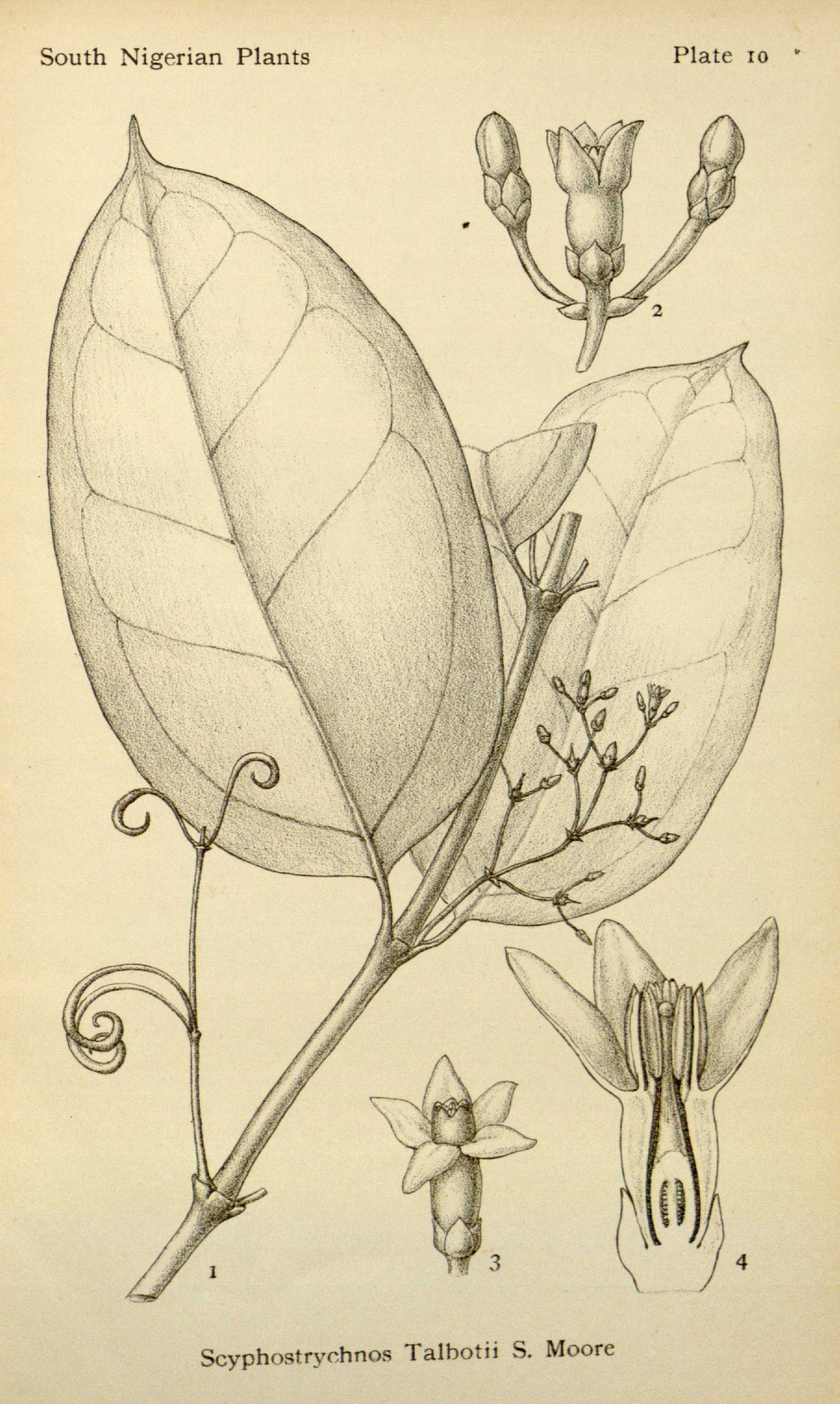 no full size  illustration available (3a)