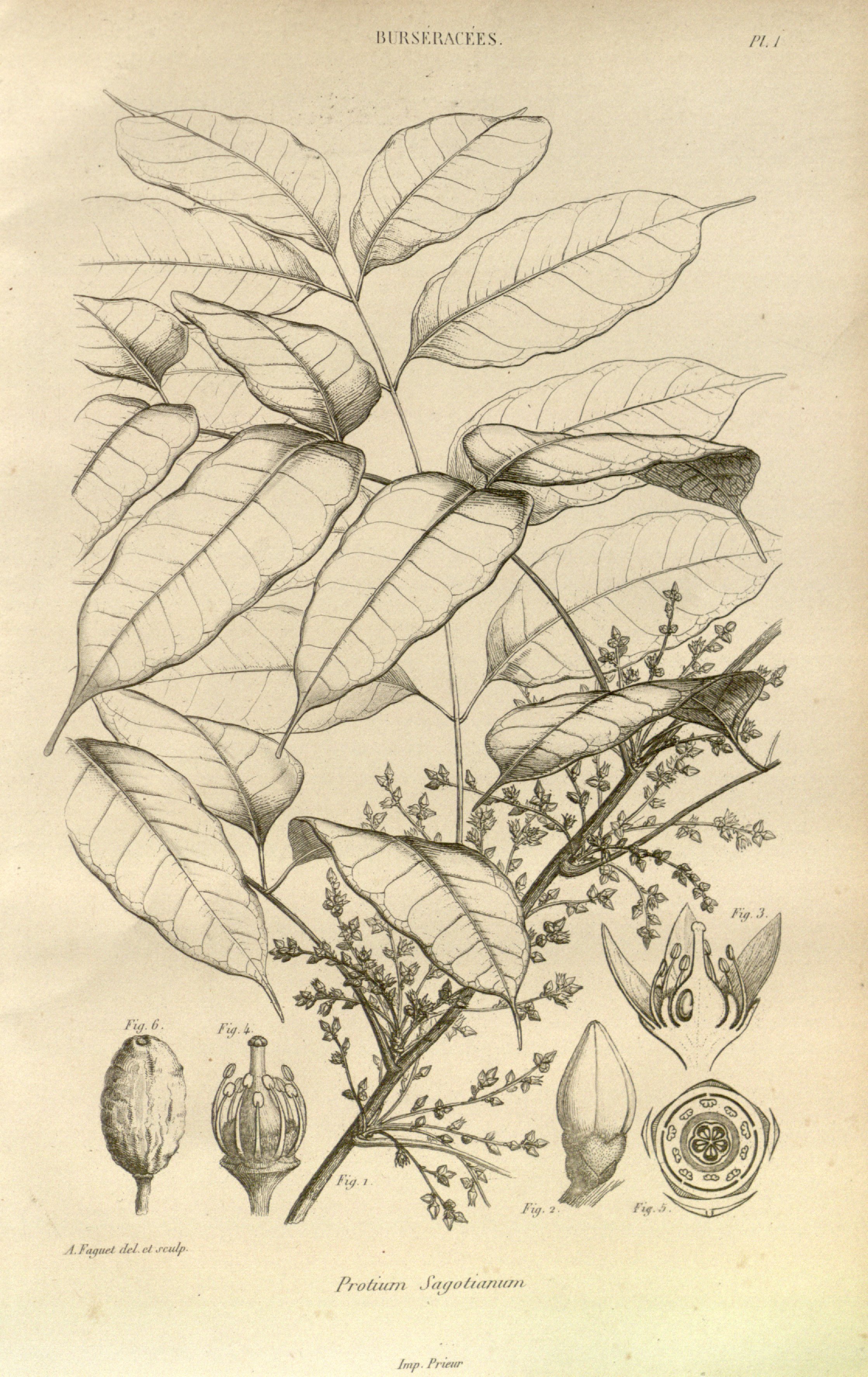 no full size  illustration available (3a)