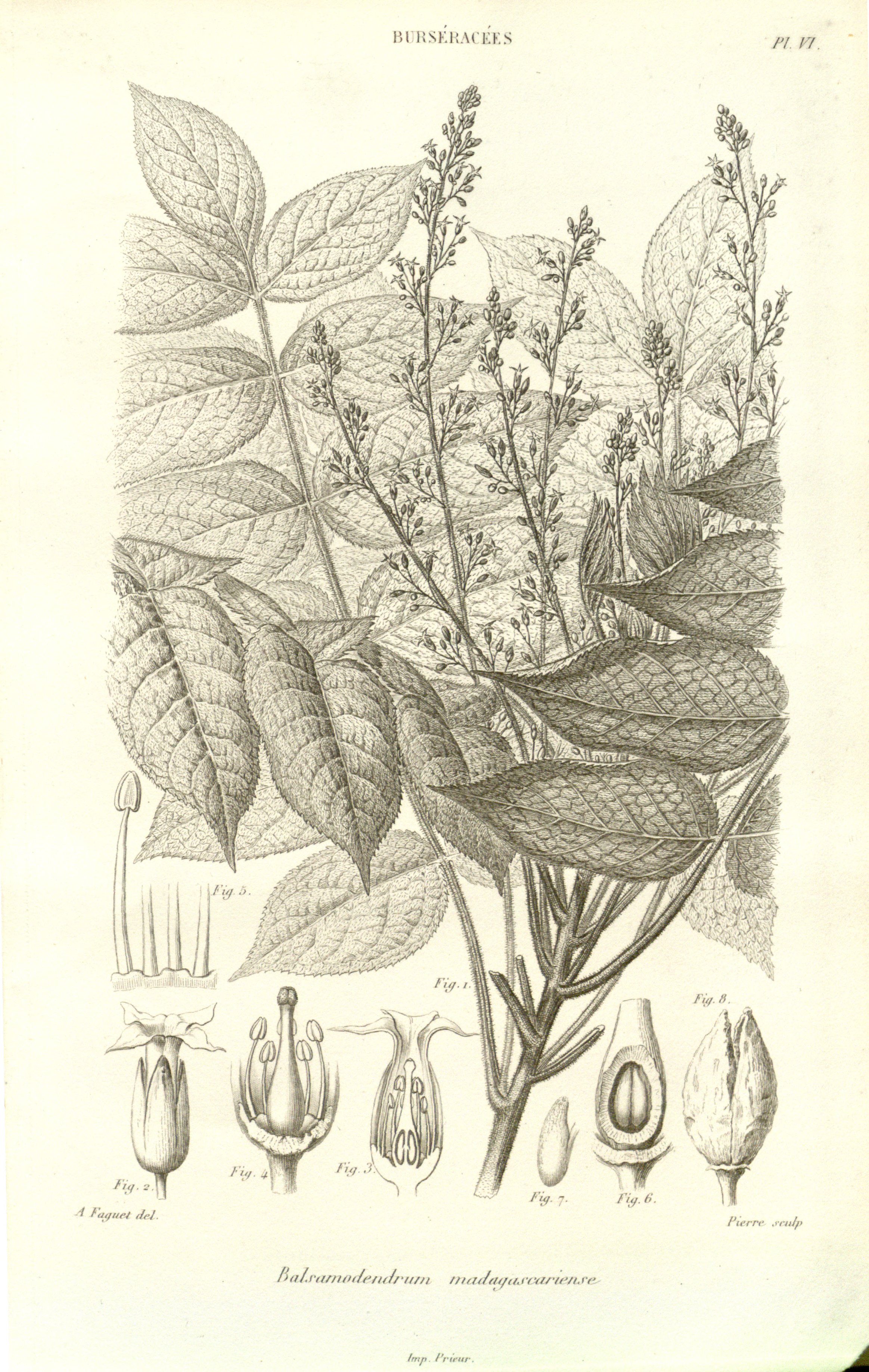 no full size  illustration available (3a)