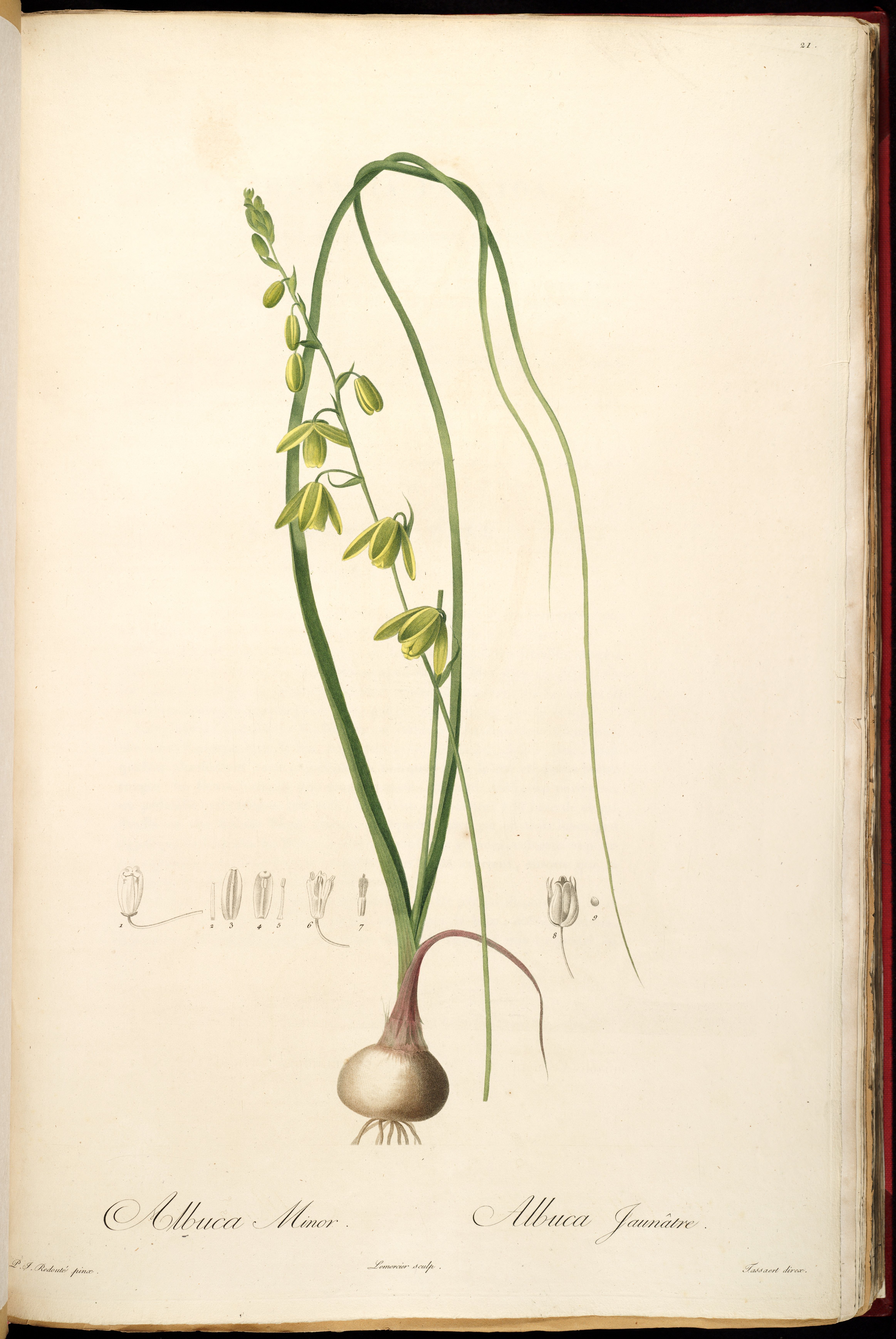 no full size  illustration available (3a)