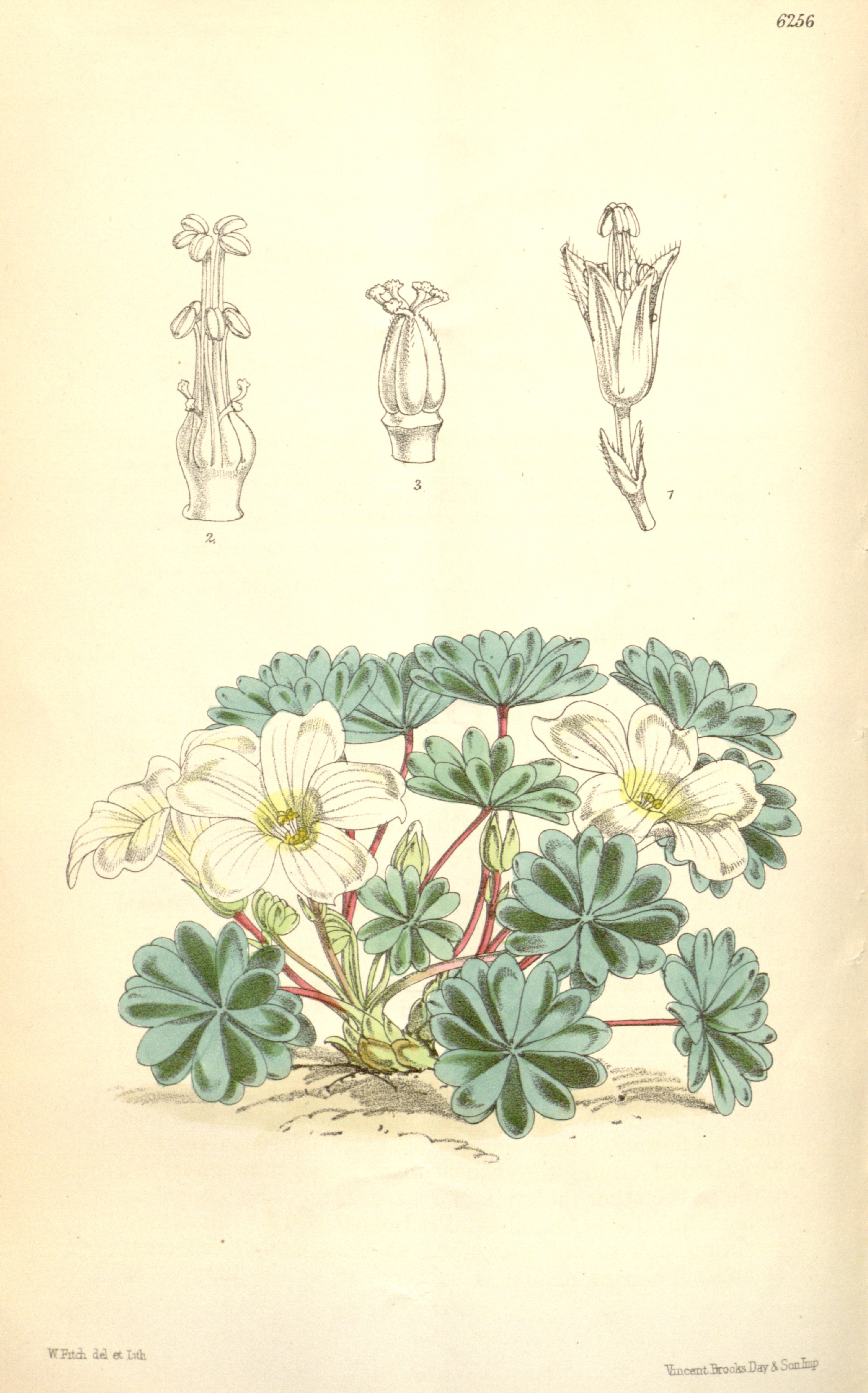 no full size  illustration available (3a)