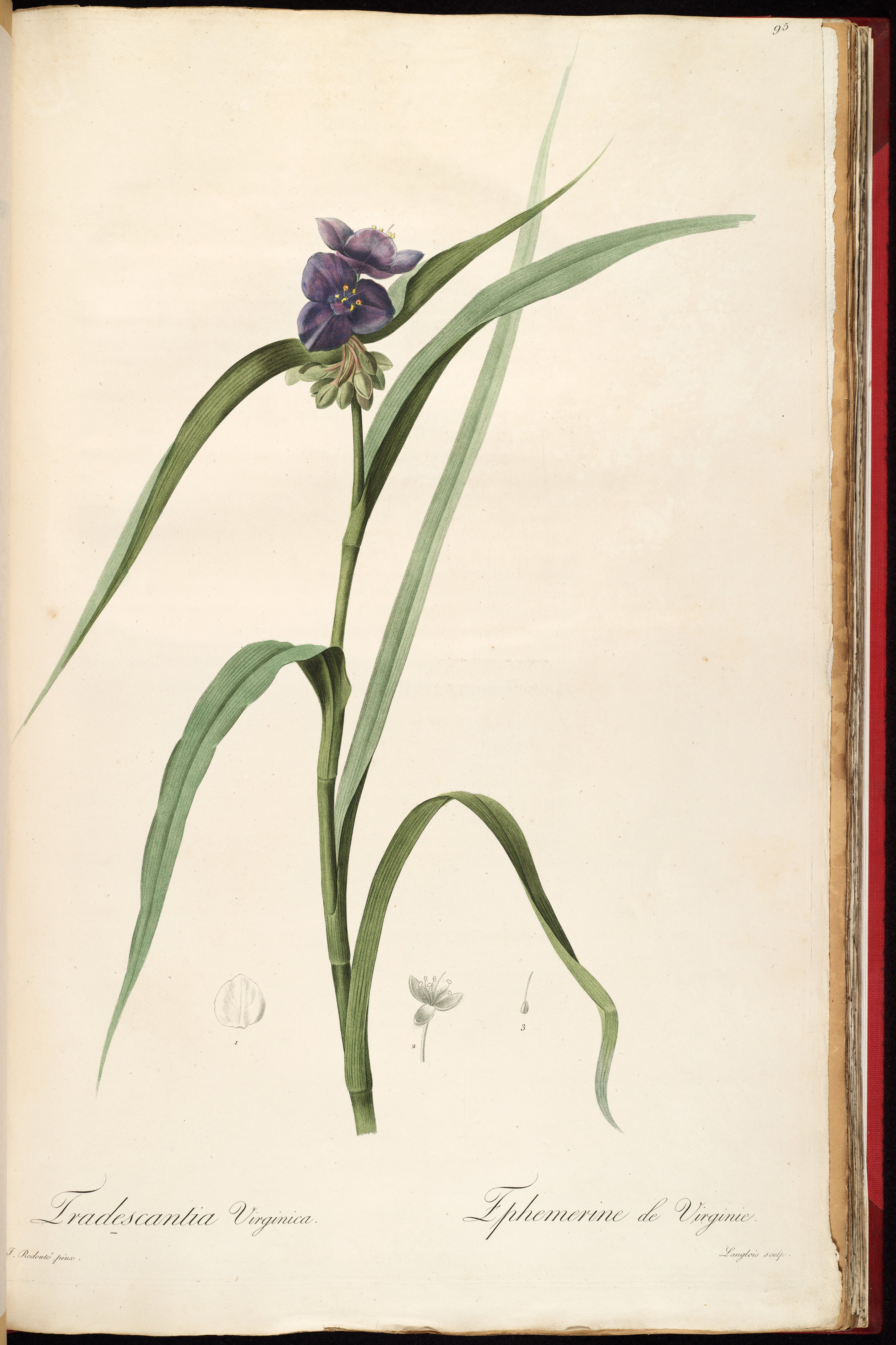 no full size  illustration available (3a)