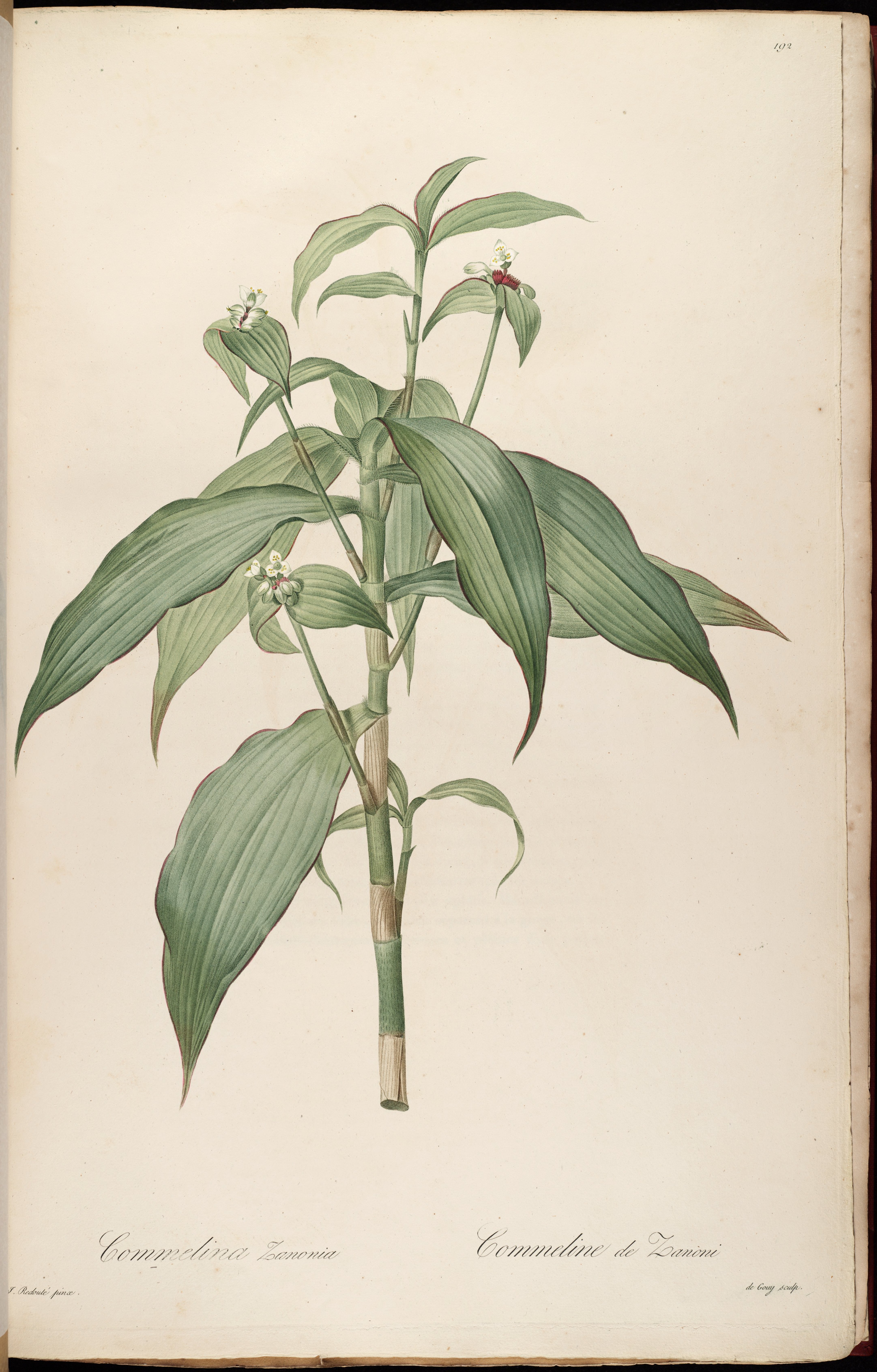 no full size  illustration available (3a)