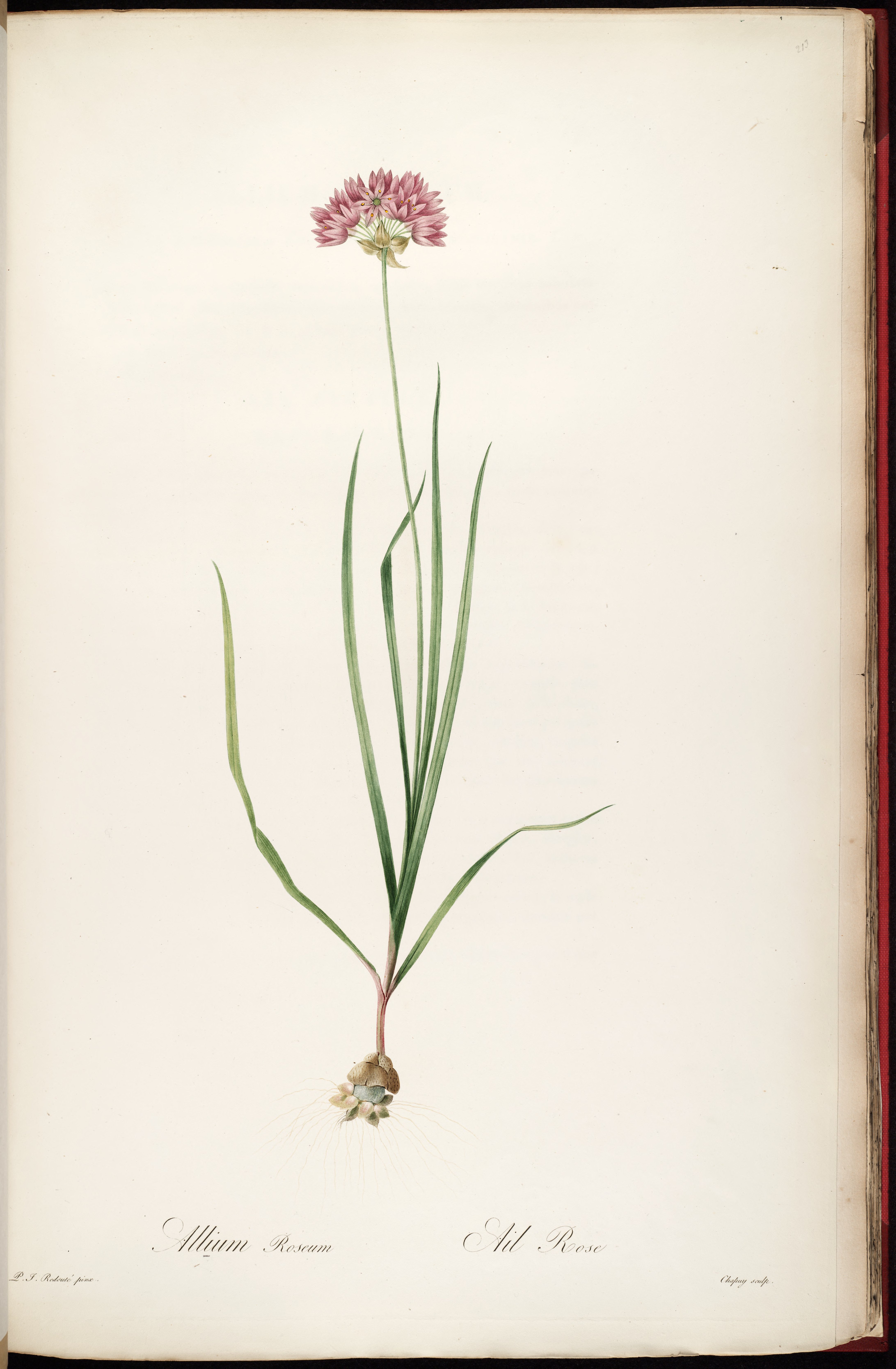 no full size  illustration available (3a)