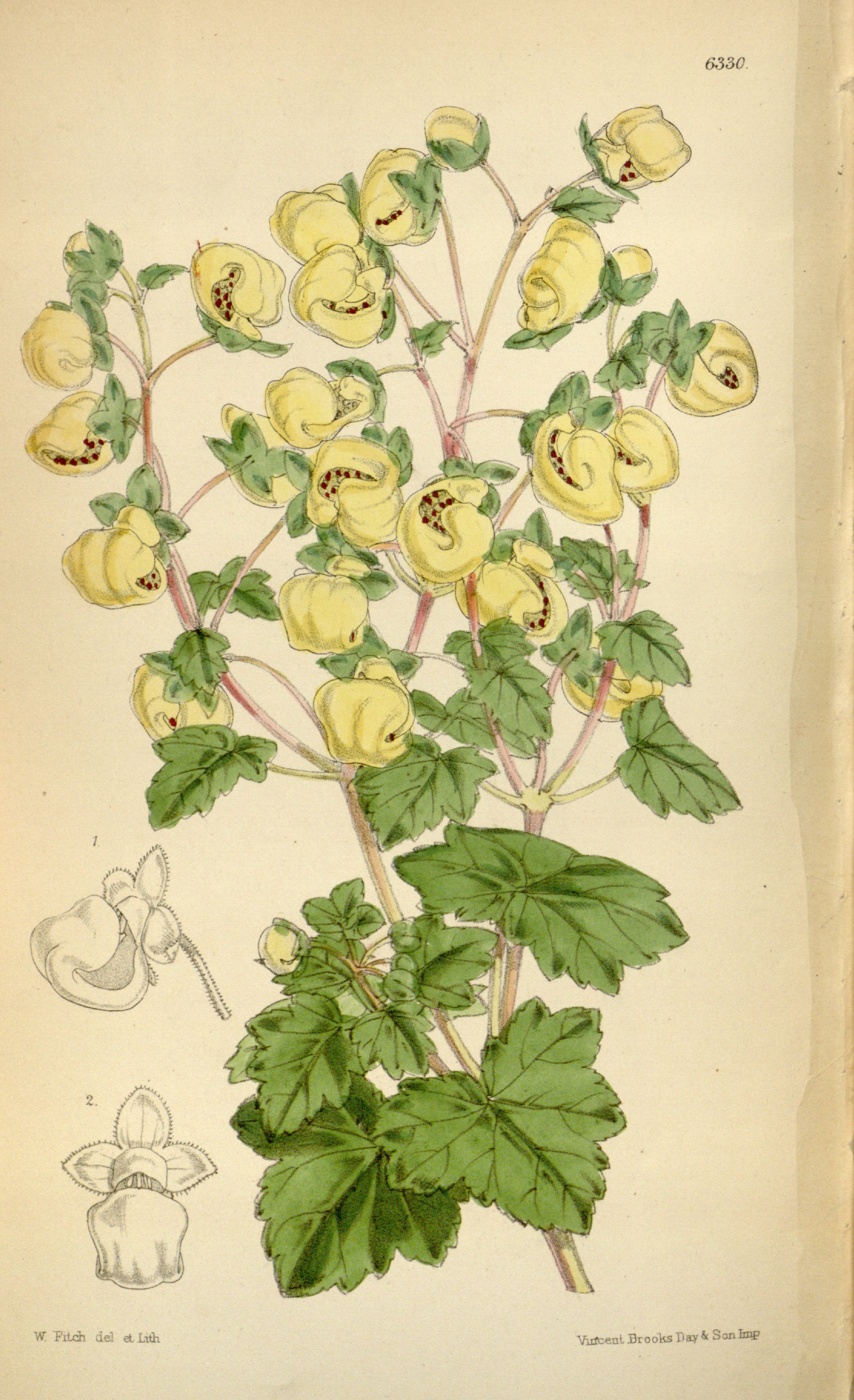 no full size  illustration available (3a)