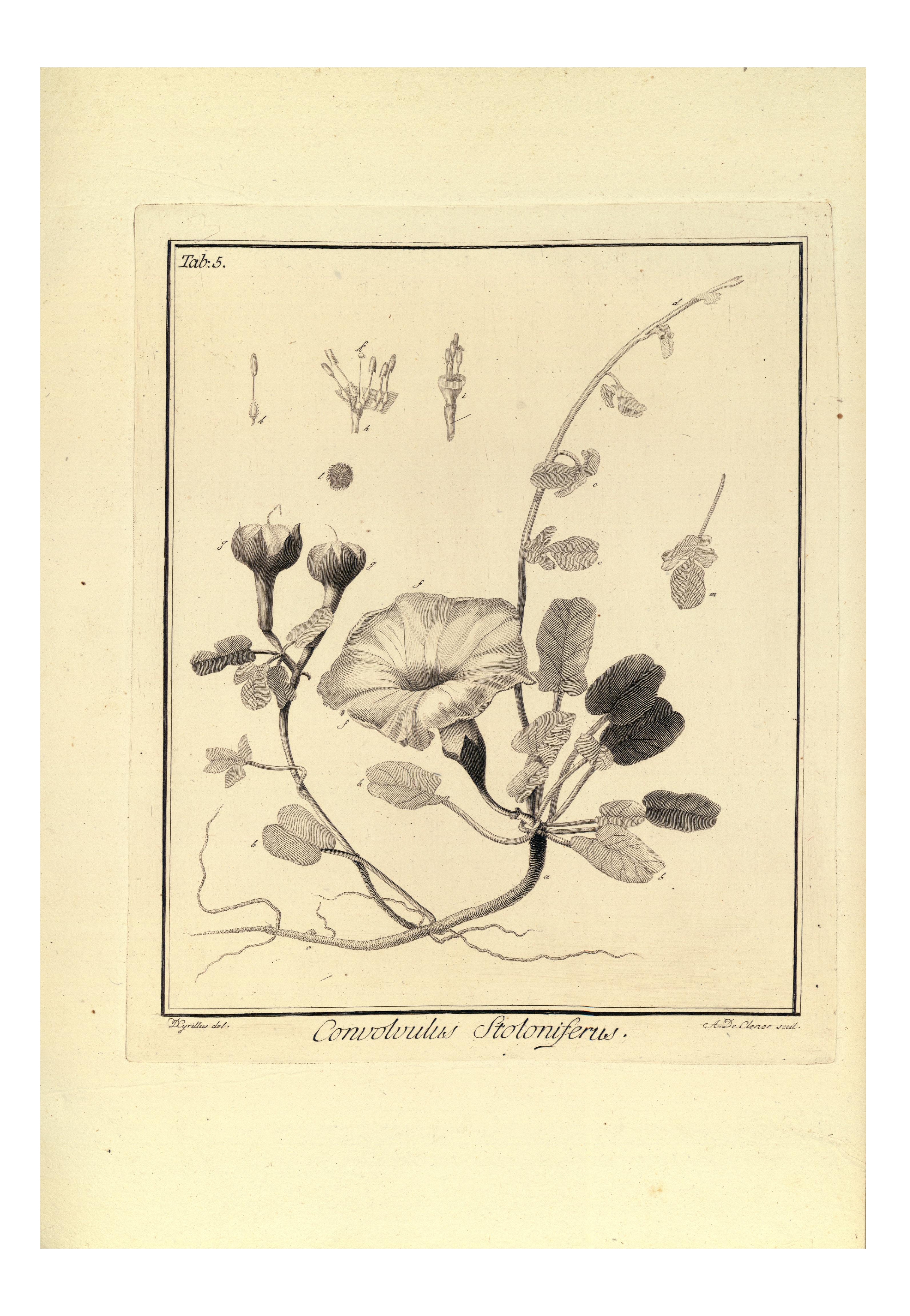 no full size  illustration available (3a)