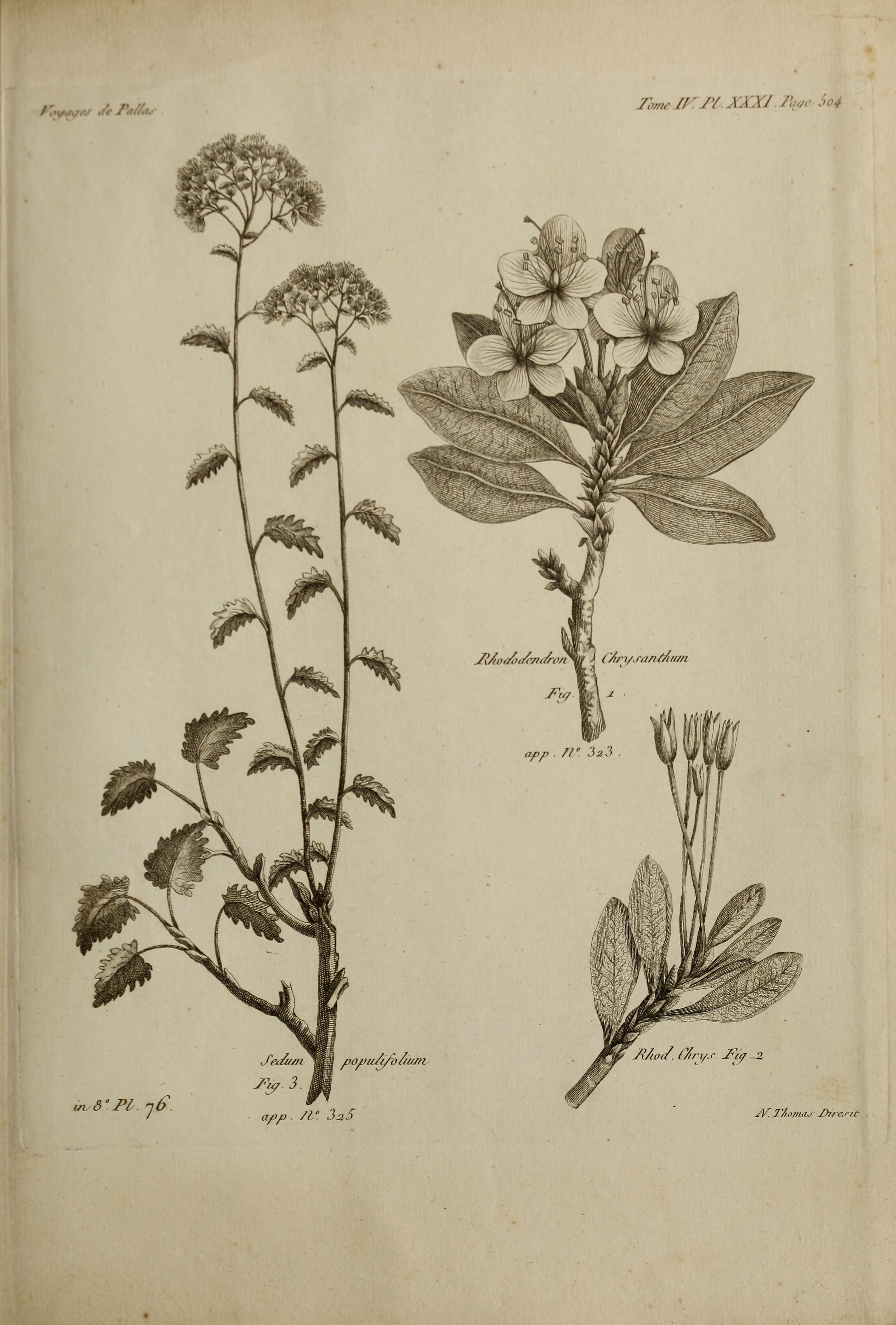 no full size  illustration available (3a)