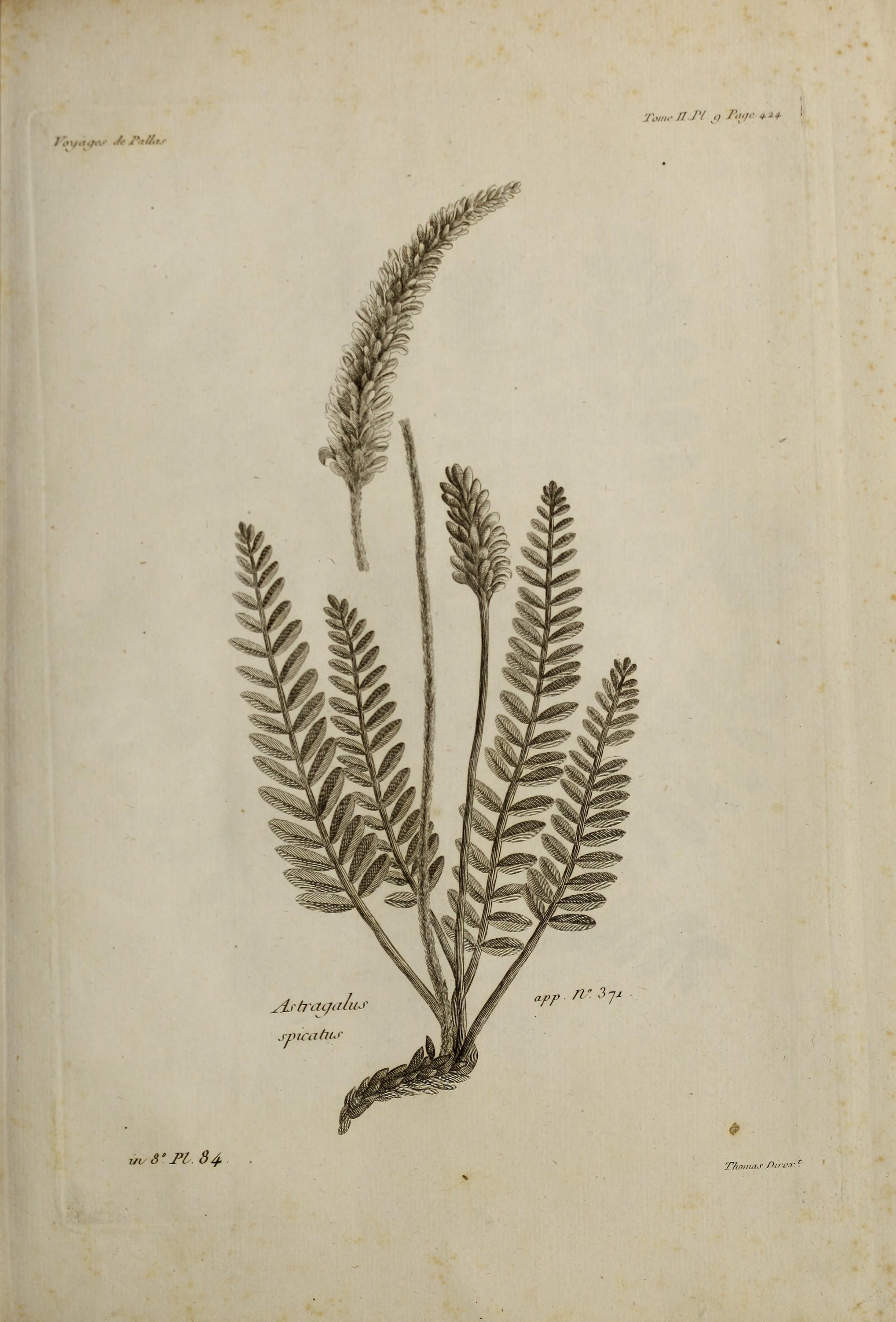 no full size  illustration available (3a)