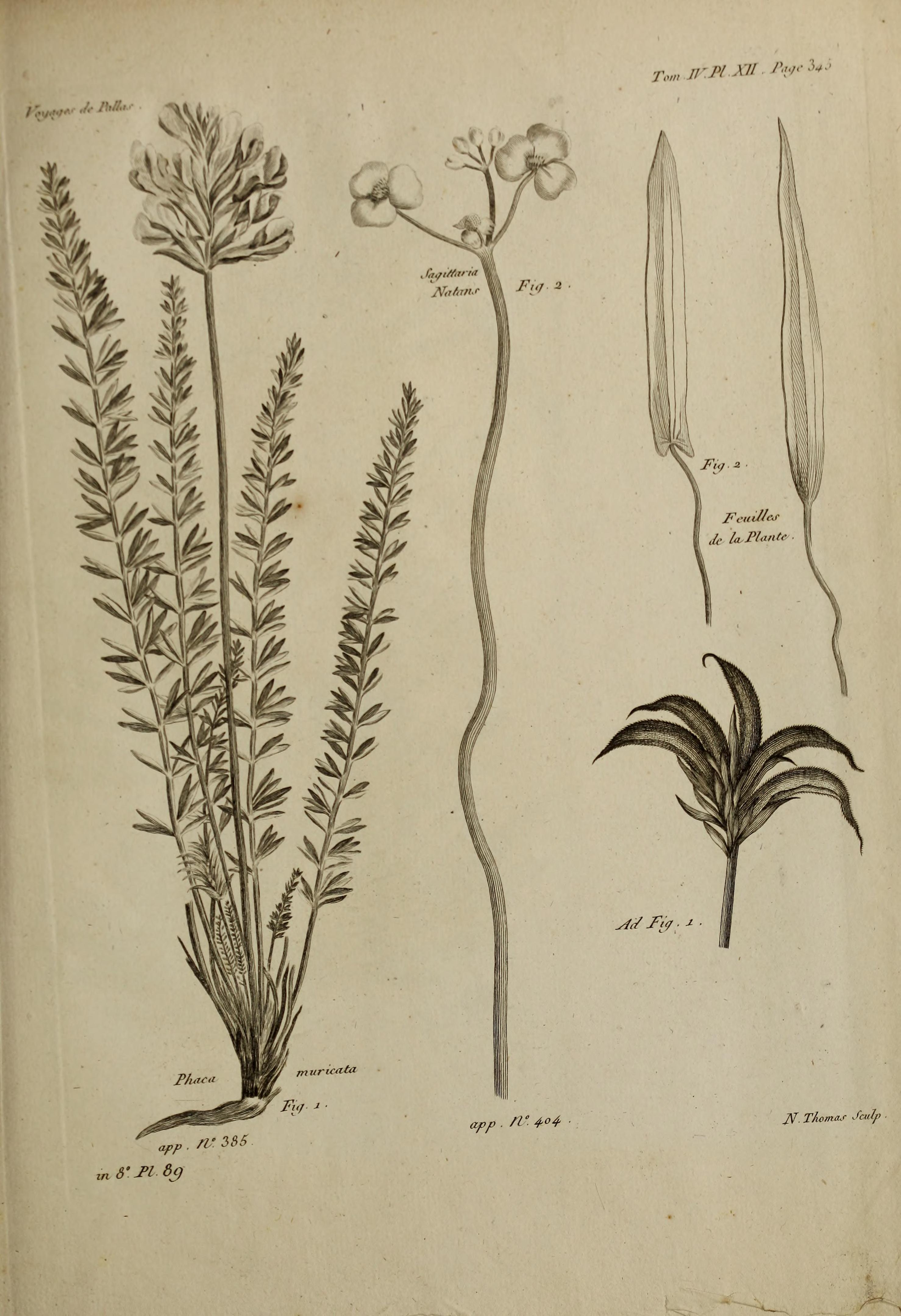 no full size  illustration available (3a)