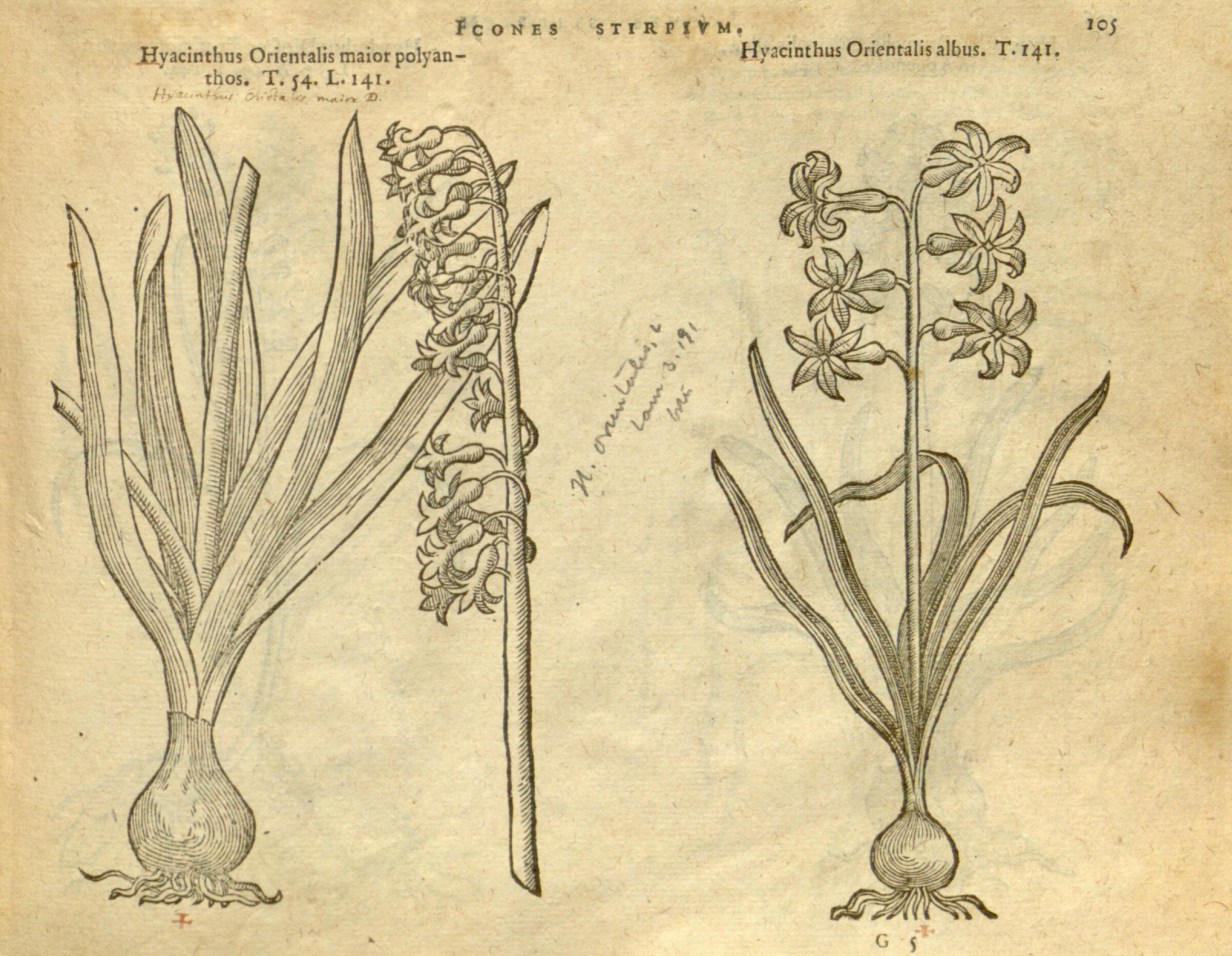 no full size  illustration available (3a)