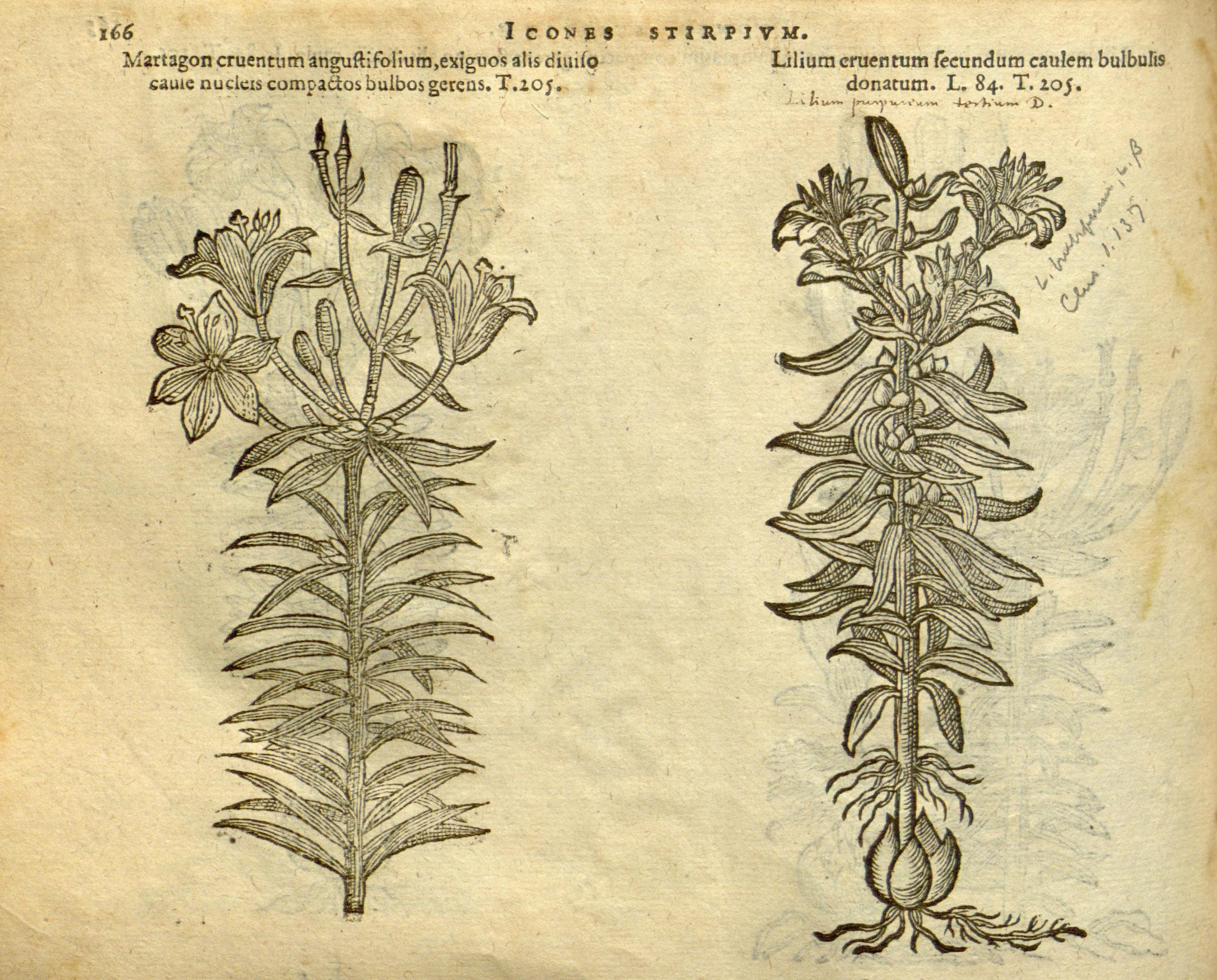 no full size  illustration available (3a)