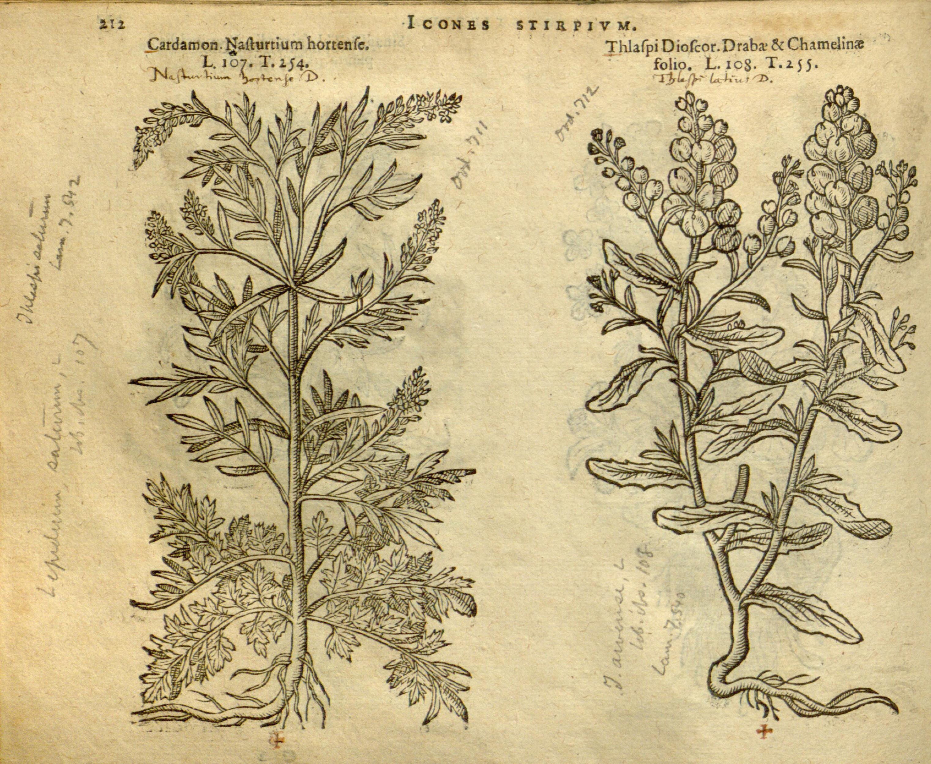 no full size  illustration available (3a)