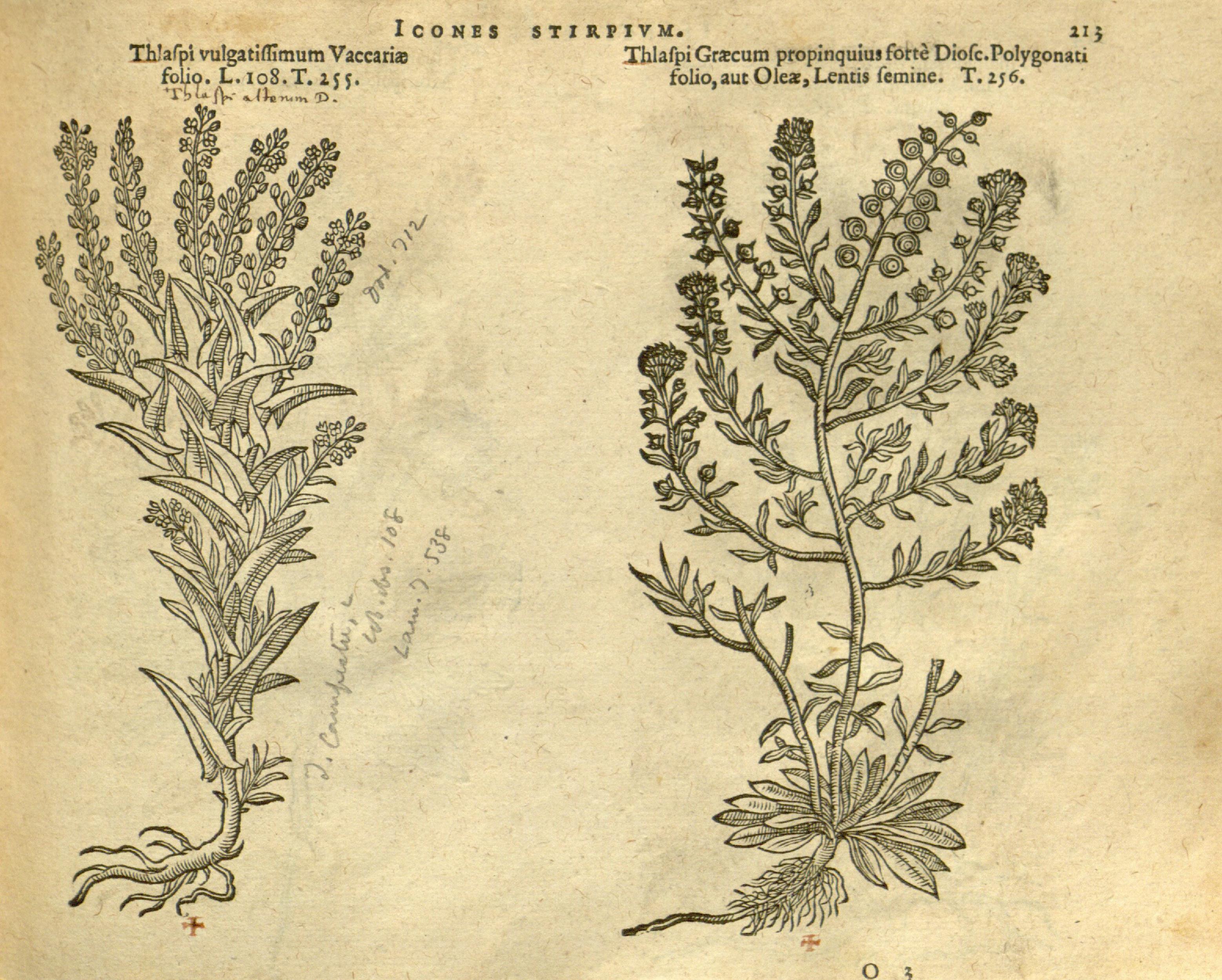 no full size  illustration available (3a)