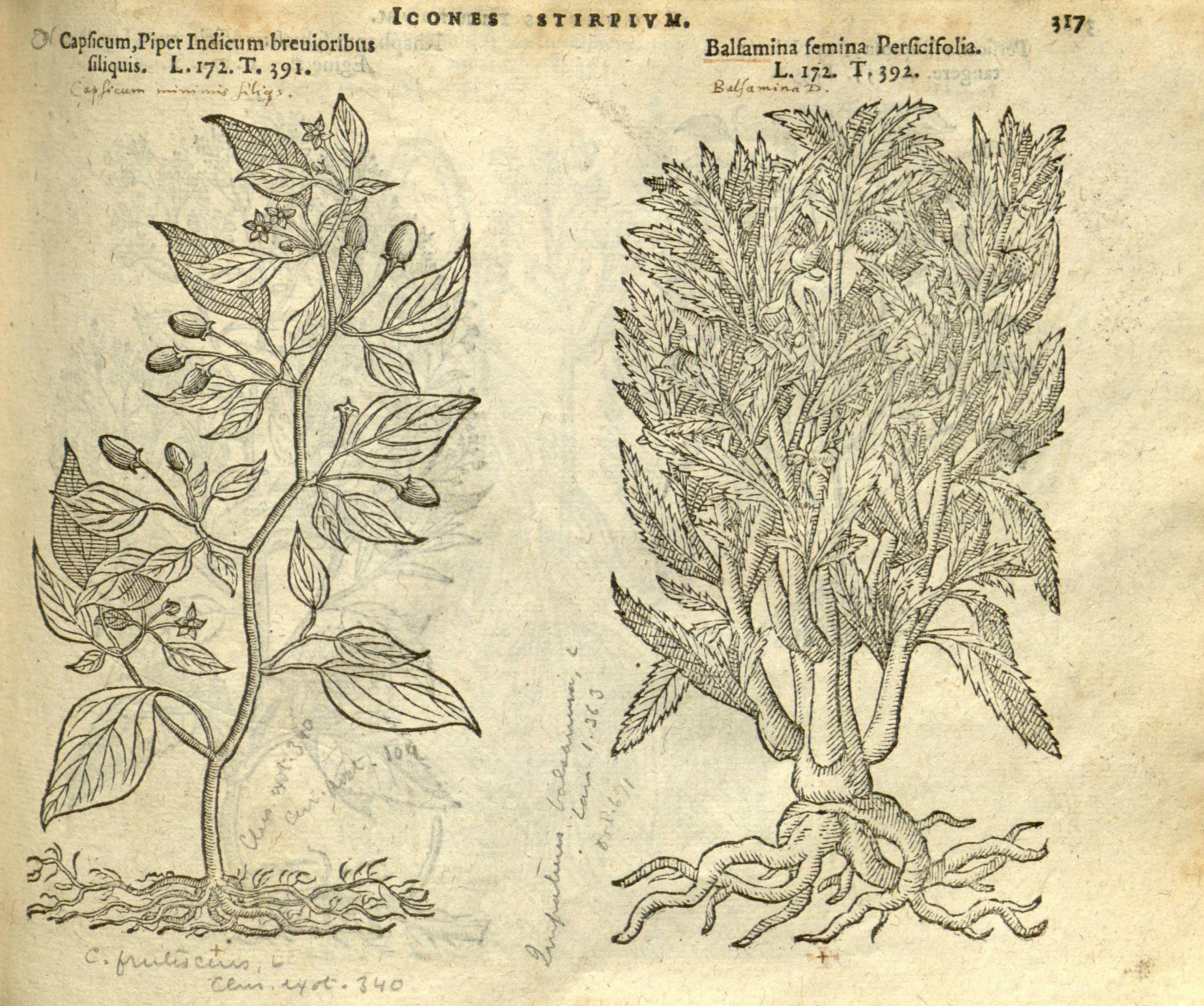 no full size  illustration available (3a)