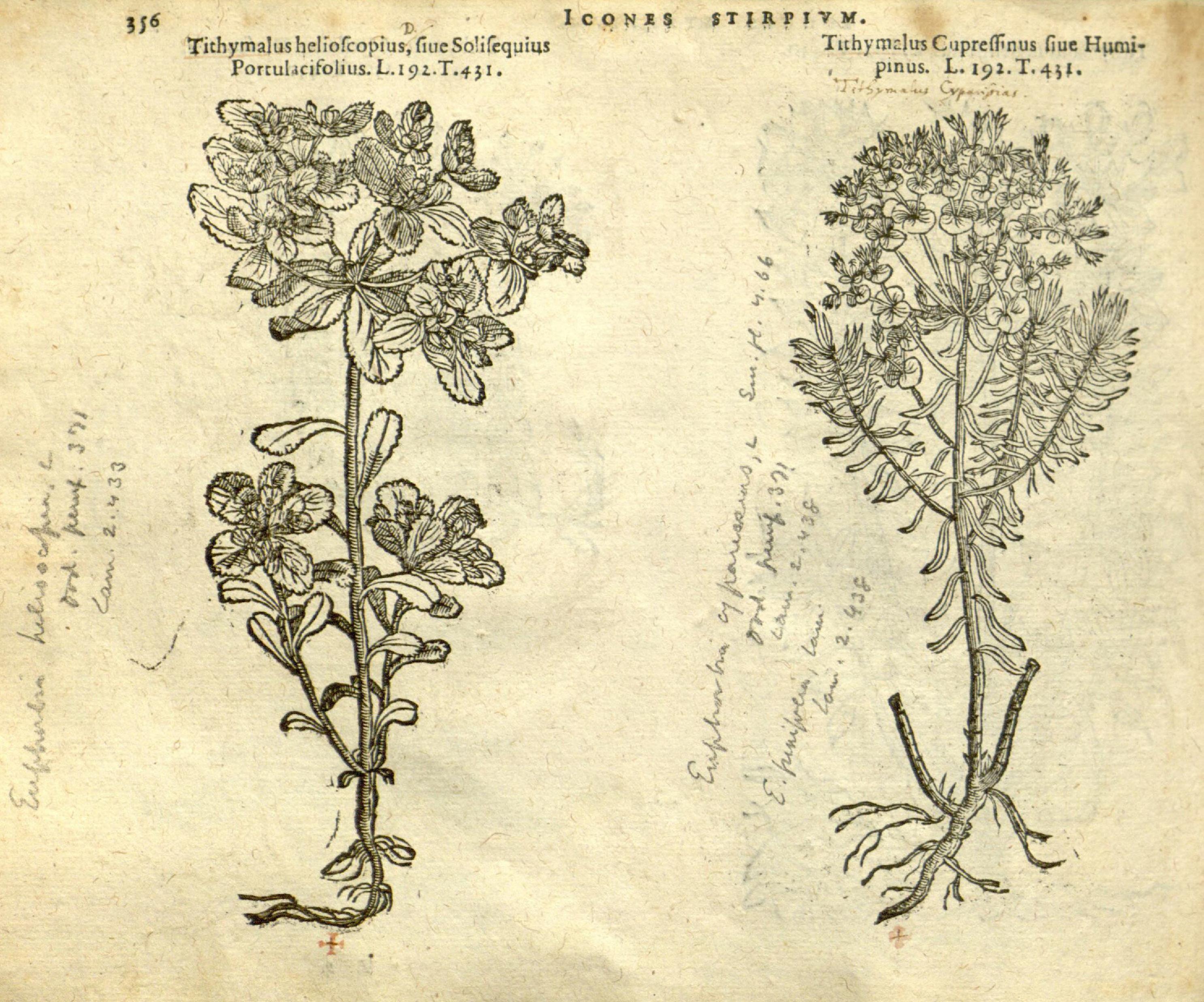 no full size  illustration available (3a)