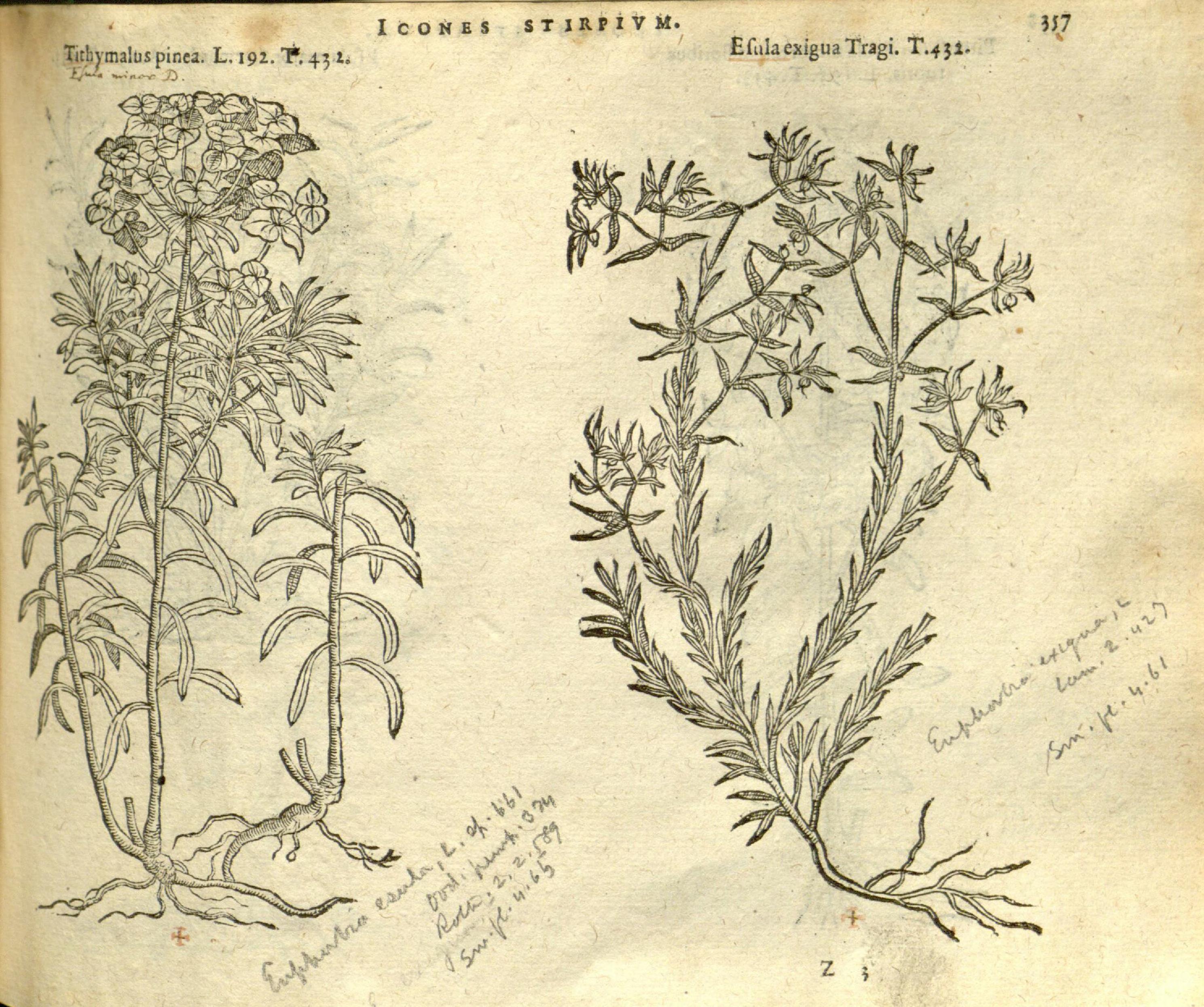 no full size  illustration available (3a)