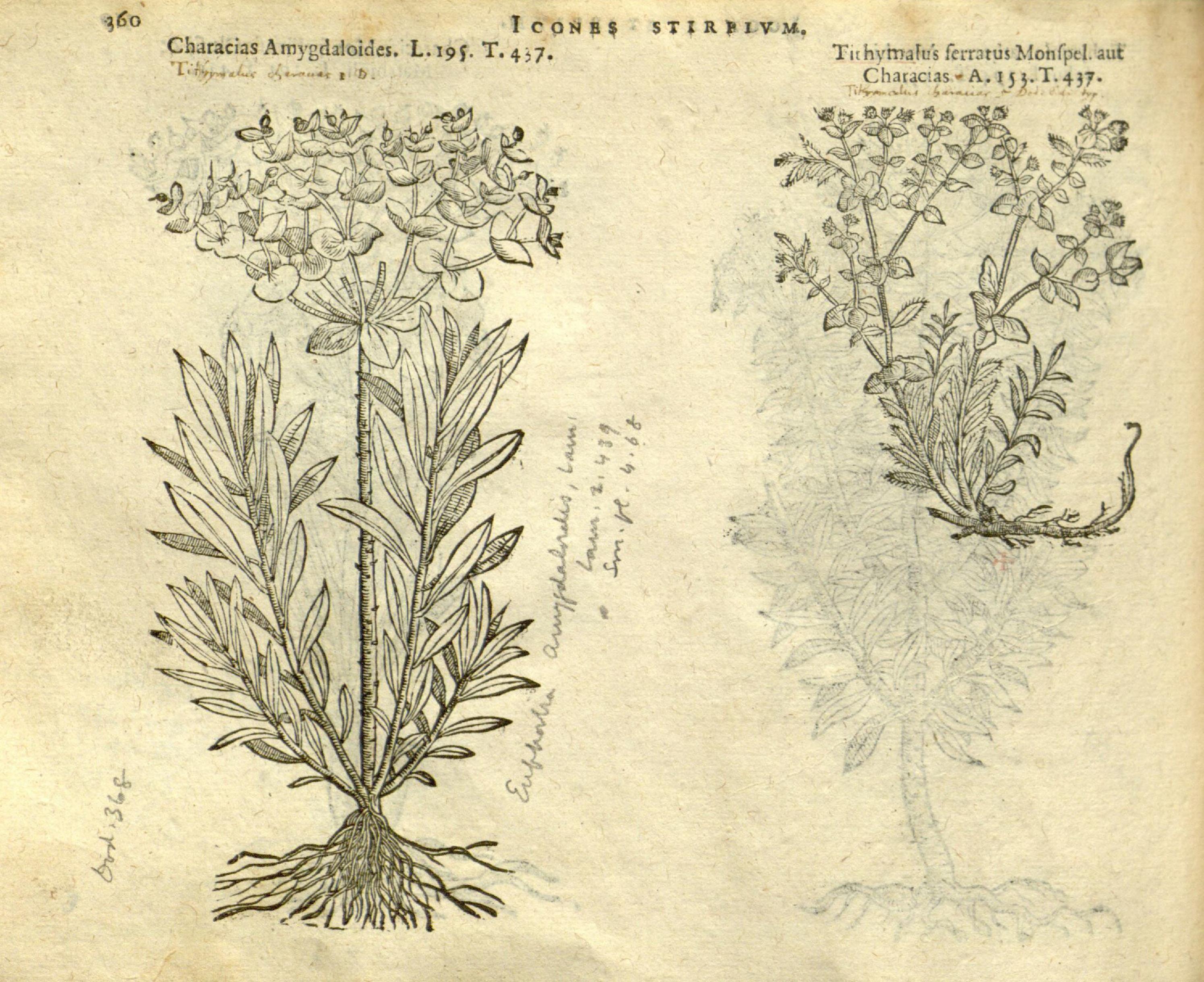 no full size  illustration available (3a)