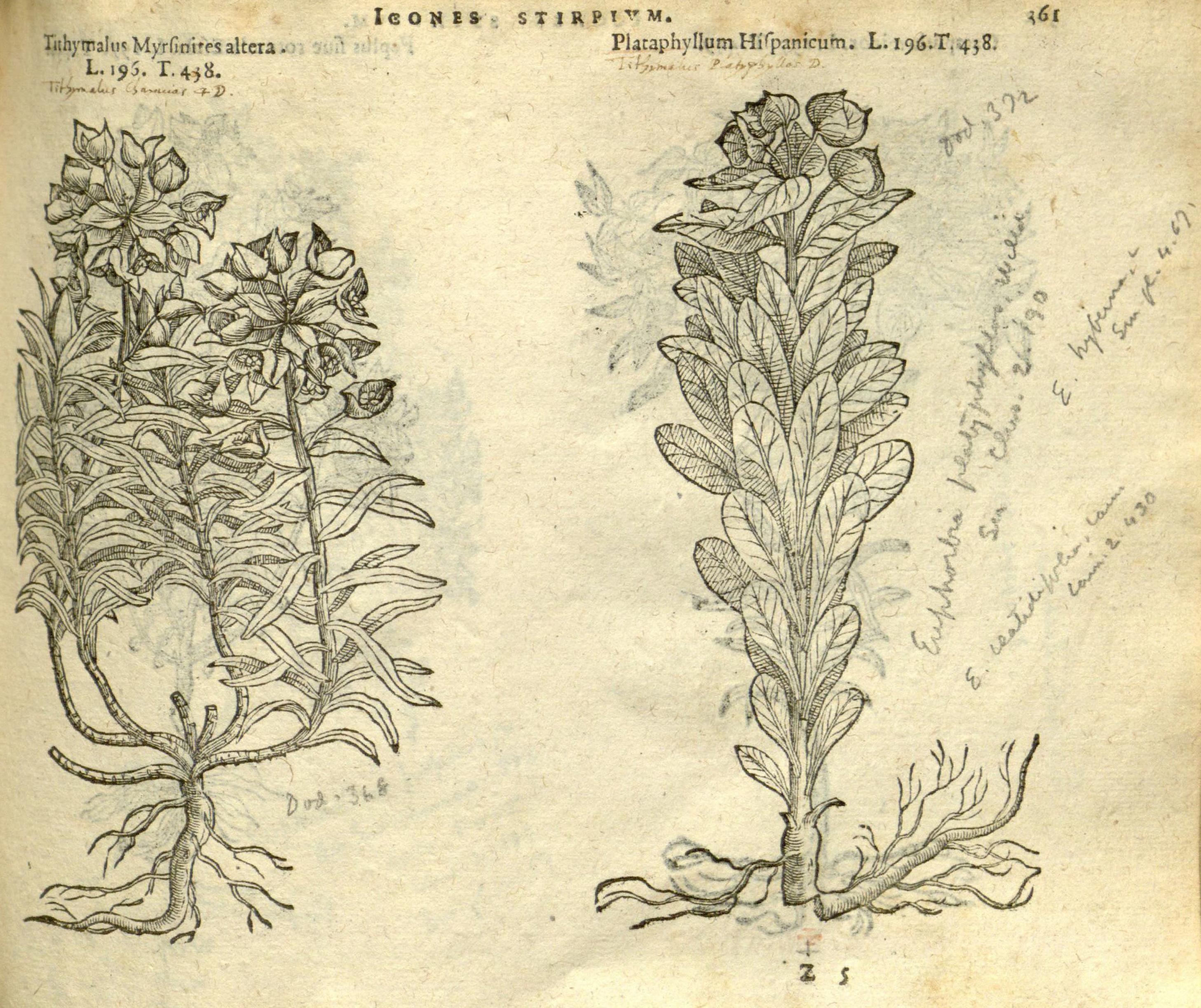 no full size  illustration available (3a)