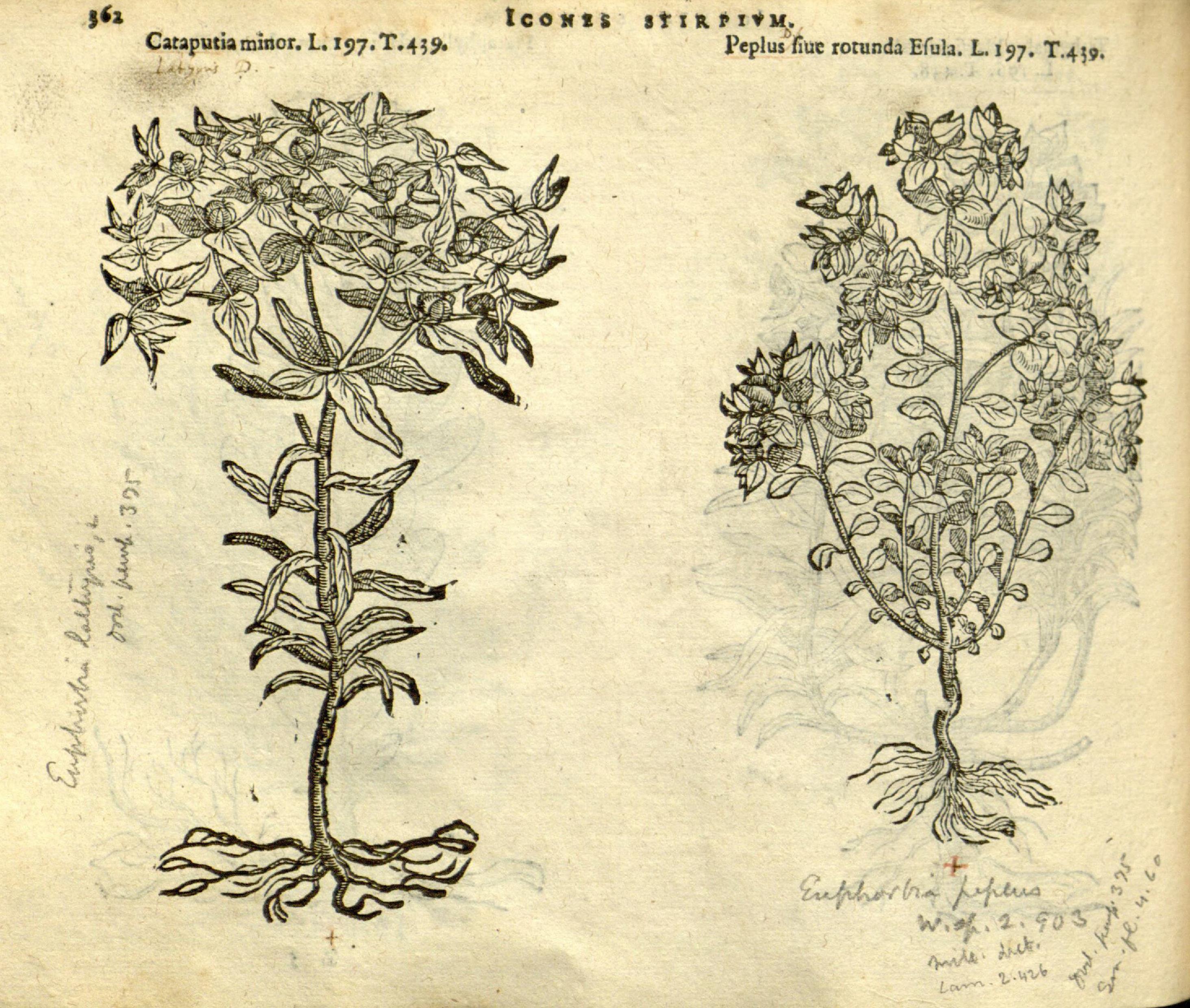 no full size  illustration available (3a)