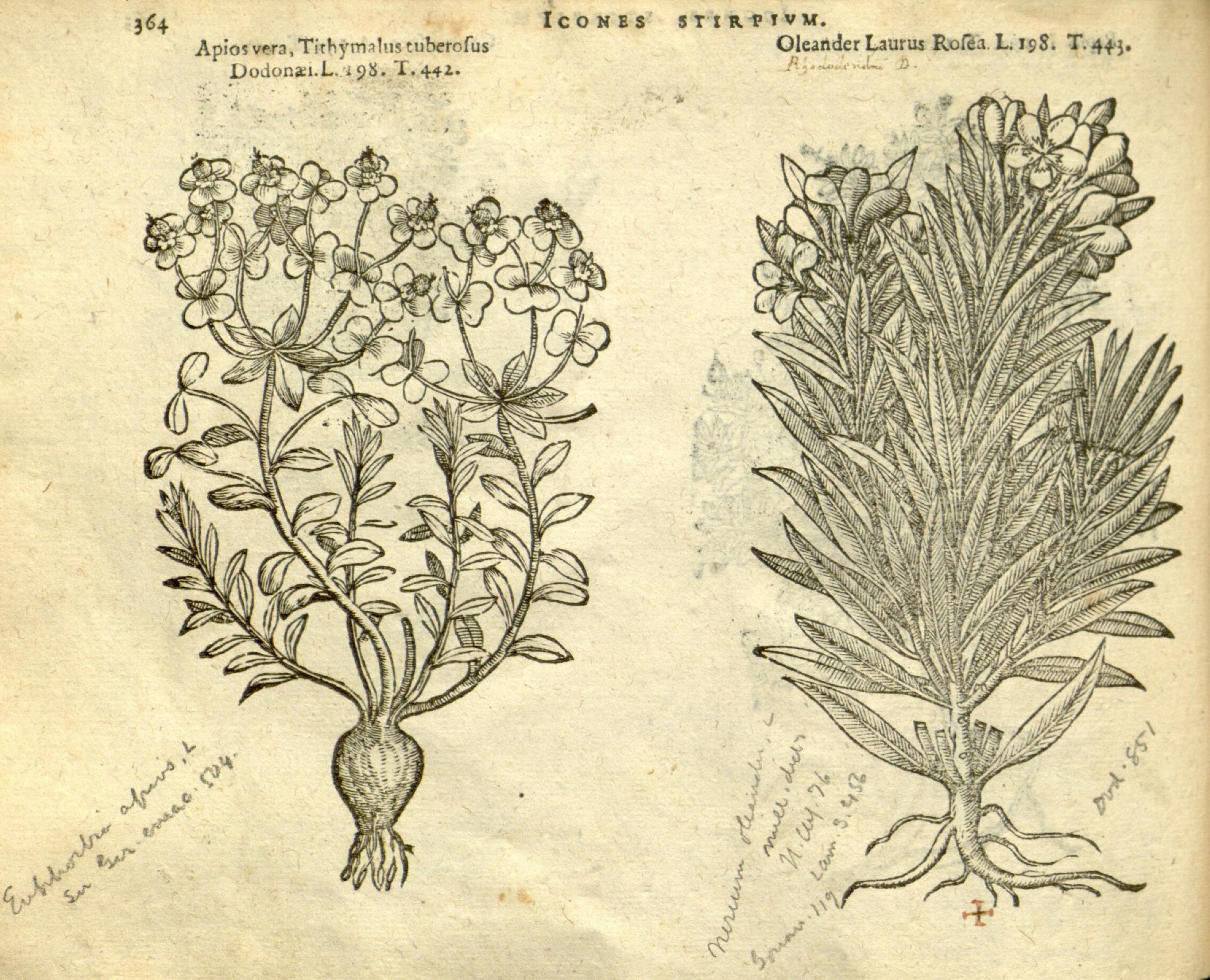 no full size  illustration available (3a)