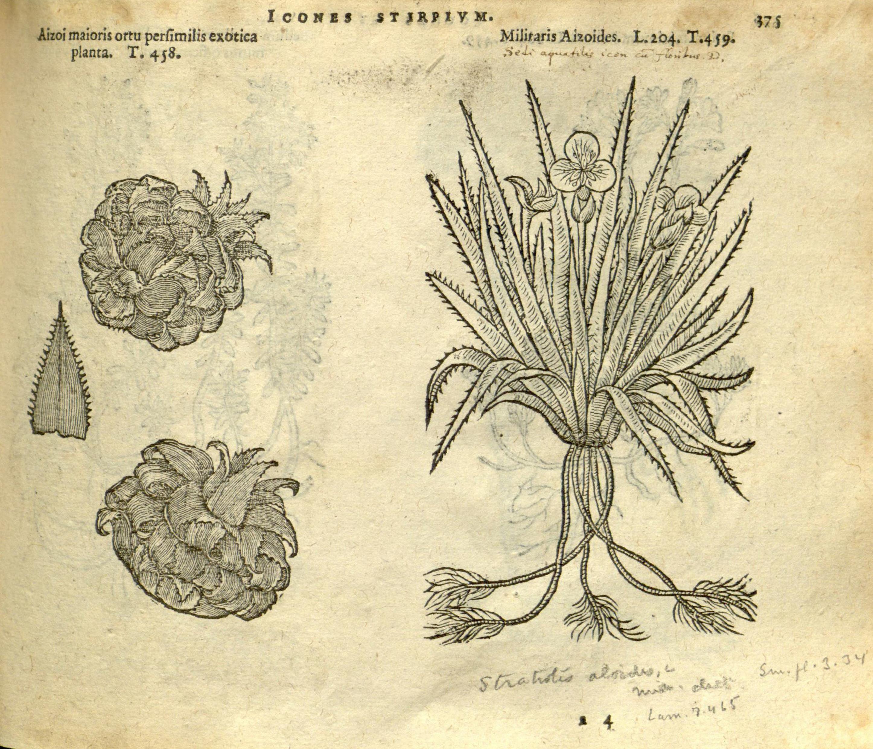 no full size  illustration available (3a)