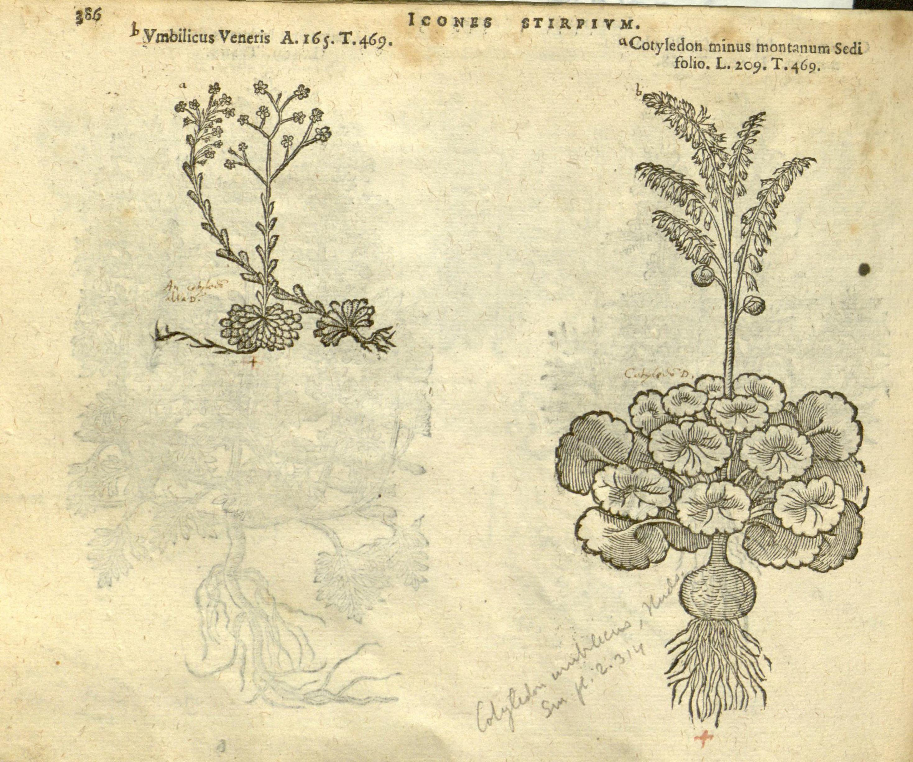 no full size  illustration available (3a)