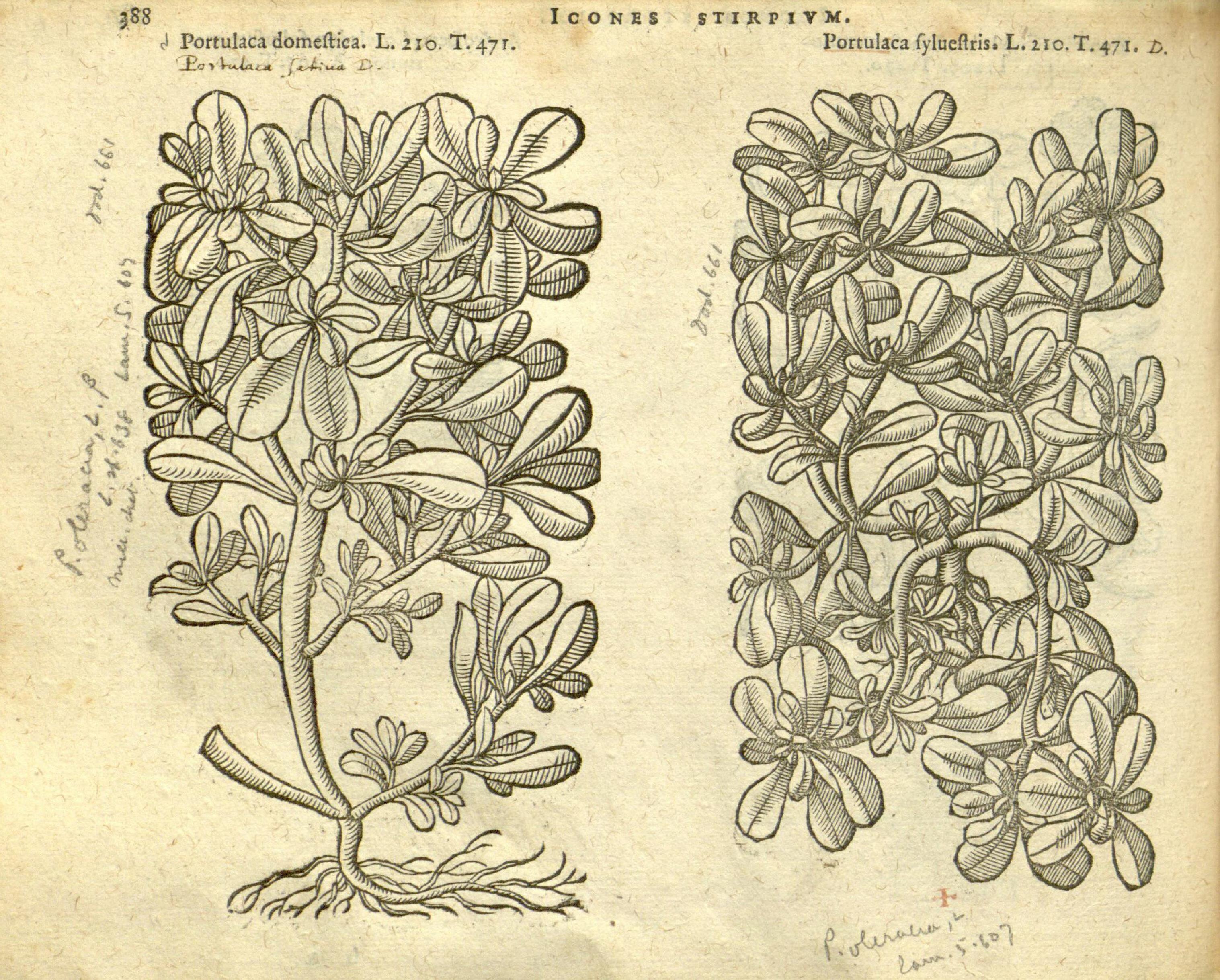 no full size  illustration available (3a)