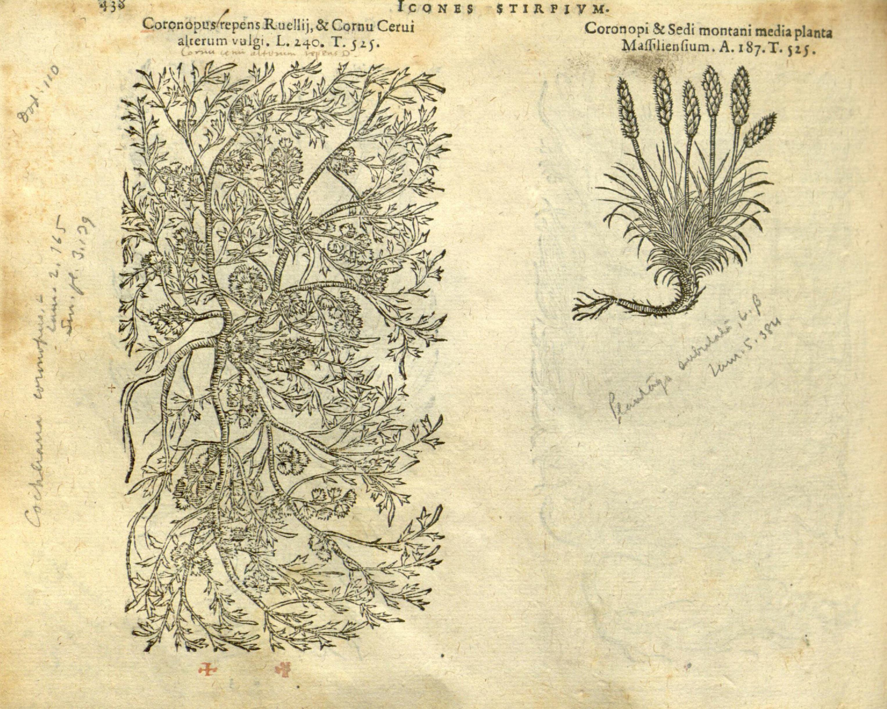 no full size  illustration available (3a)