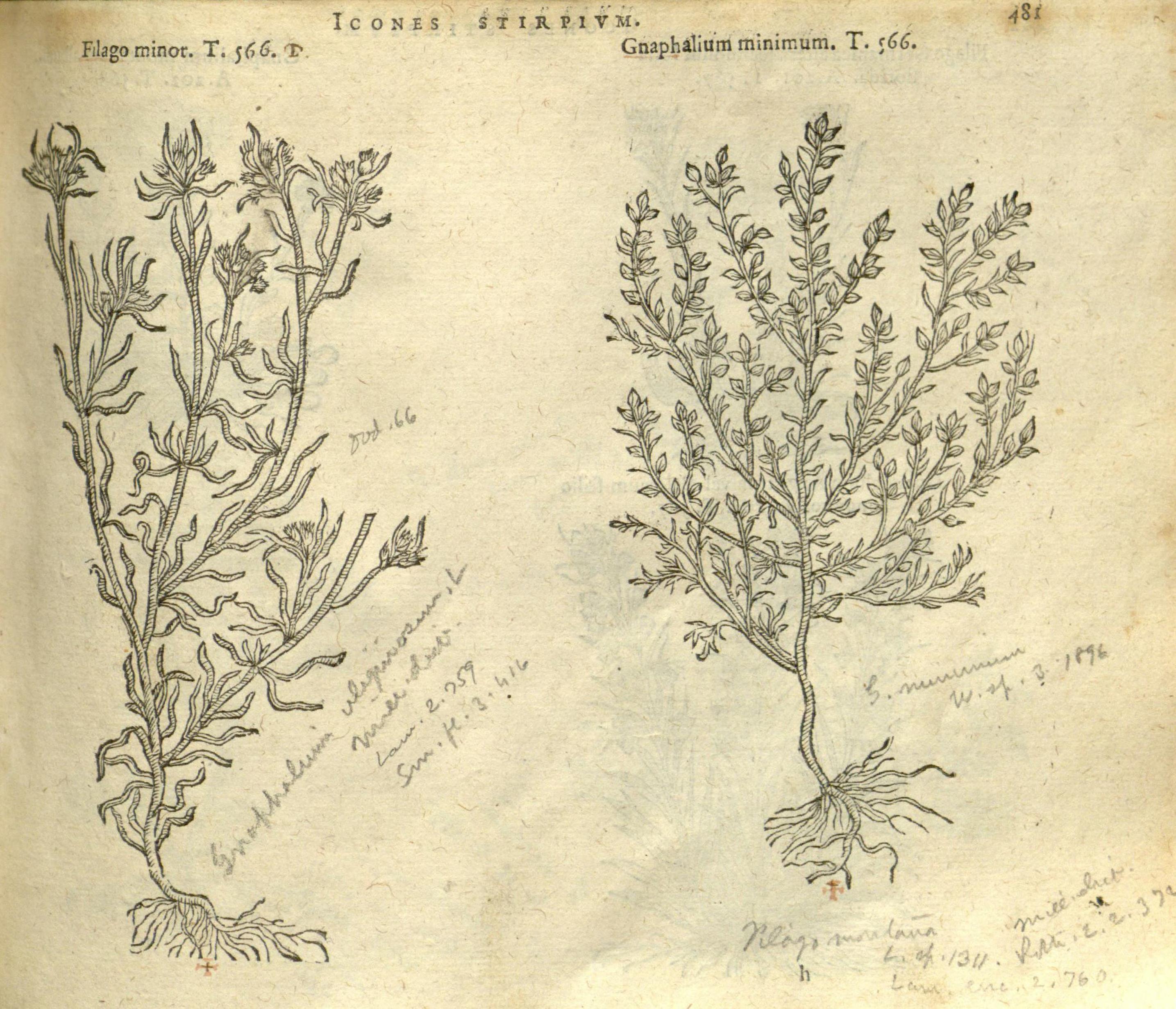 no full size  illustration available (3a)