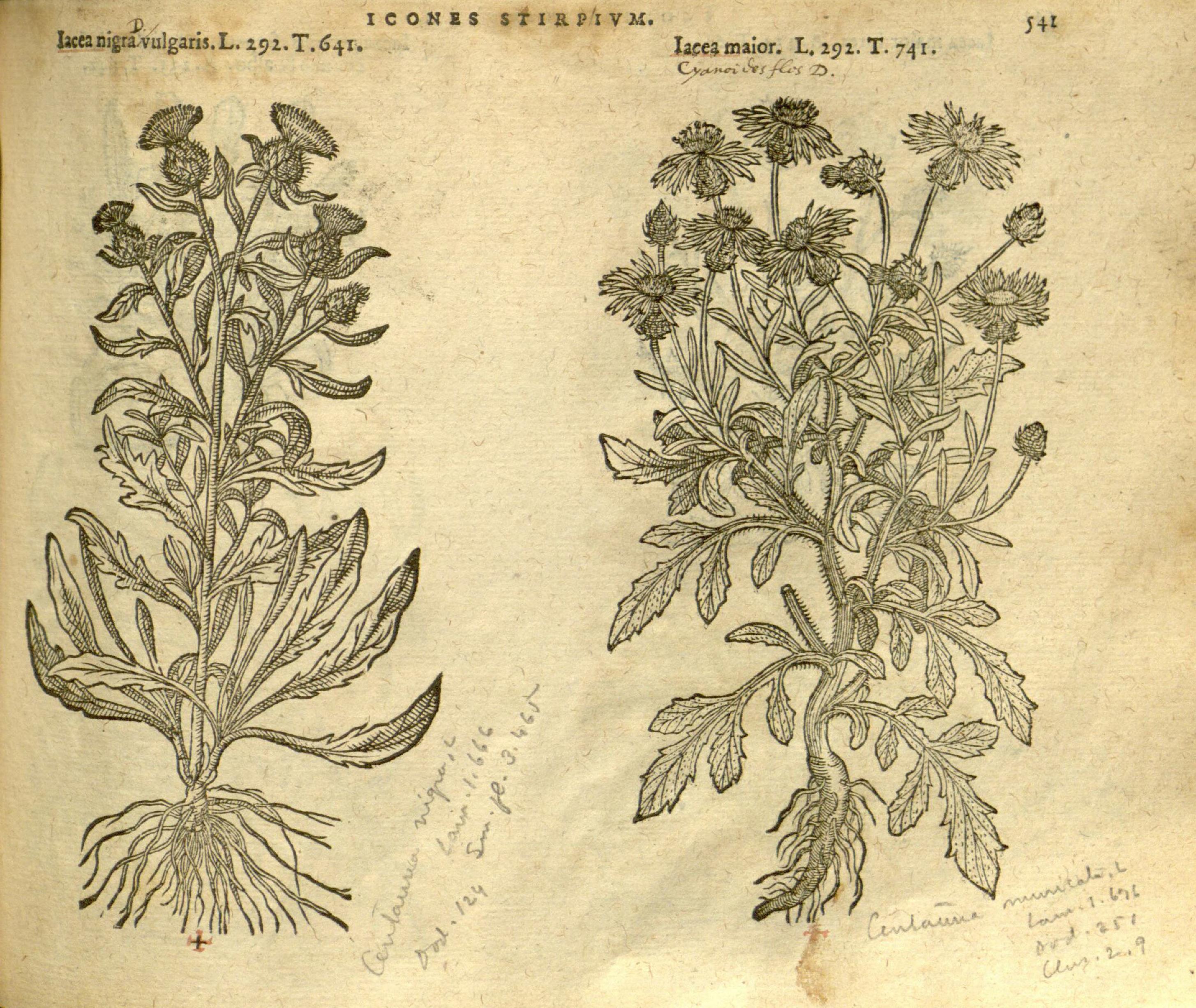 no full size  illustration available (3a)