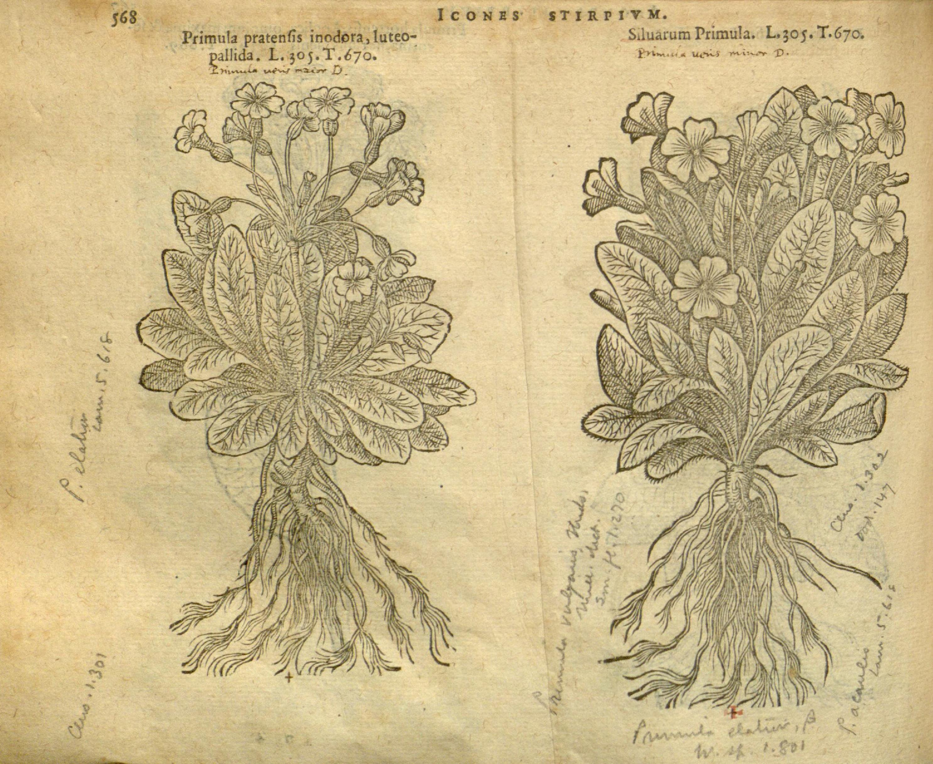 no full size  illustration available (3a)