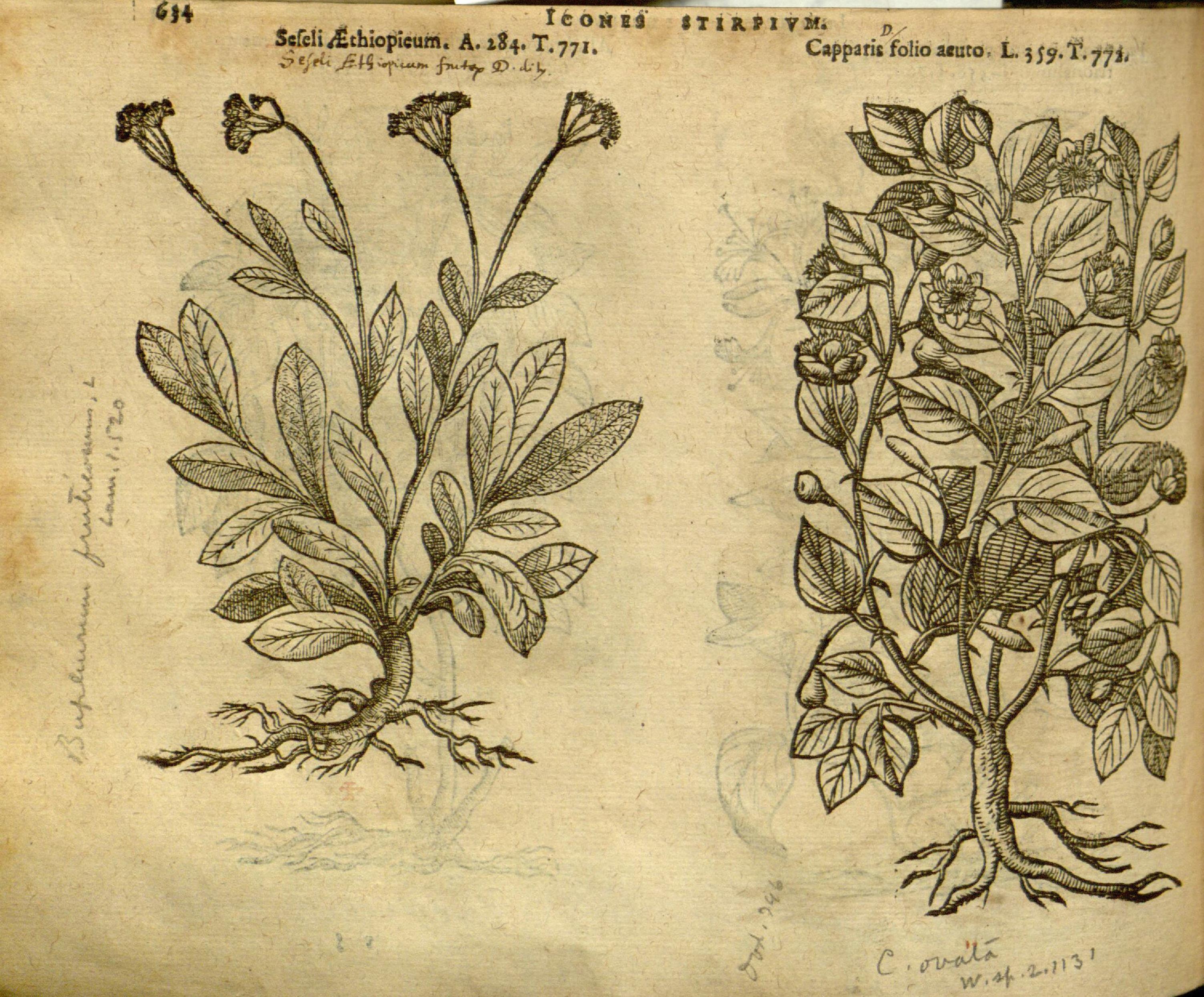 no full size  illustration available (3a)