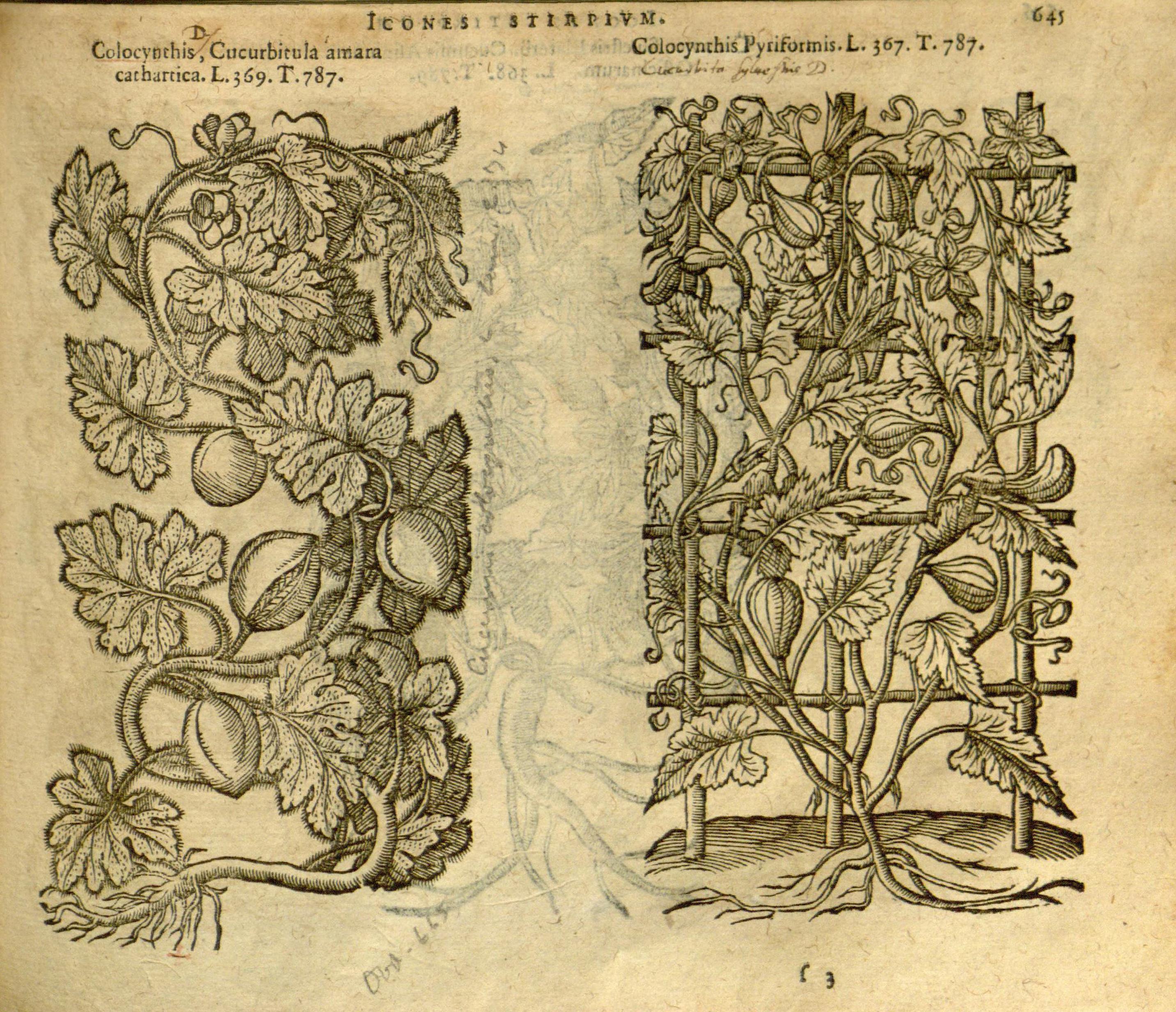 no full size  illustration available (3a)