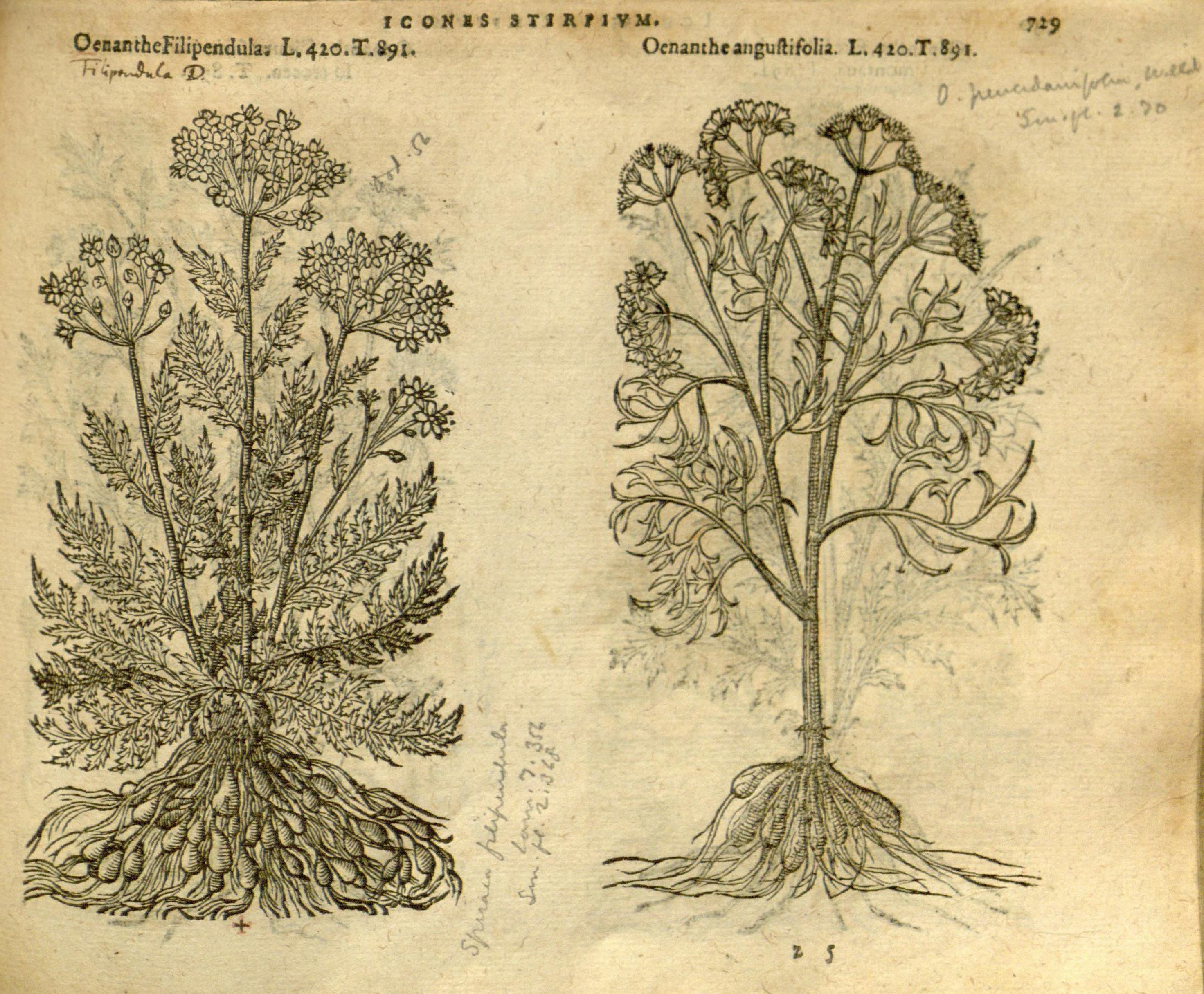 no full size  illustration available (3a)