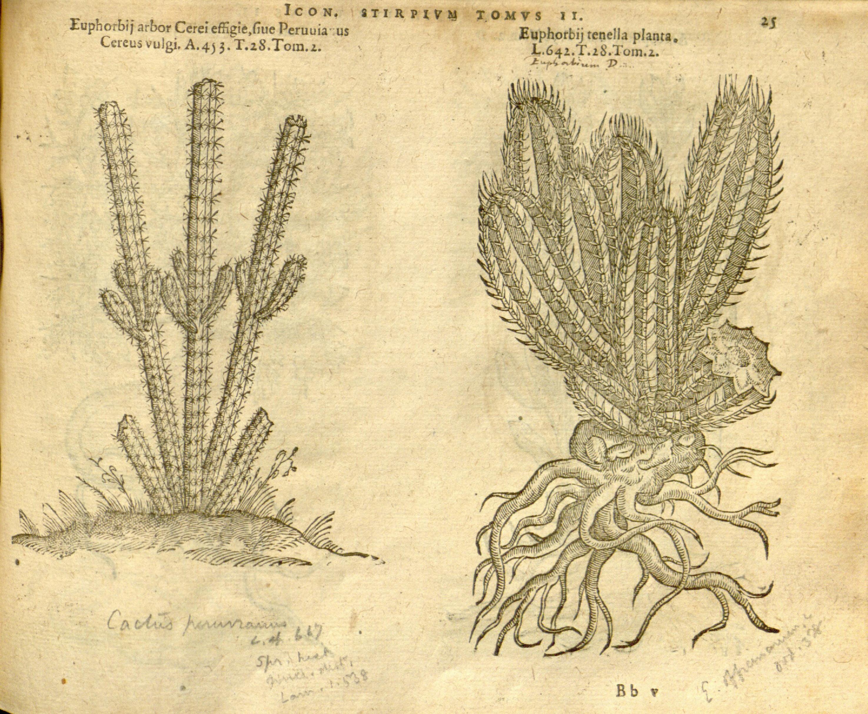 no full size  illustration available (3a)