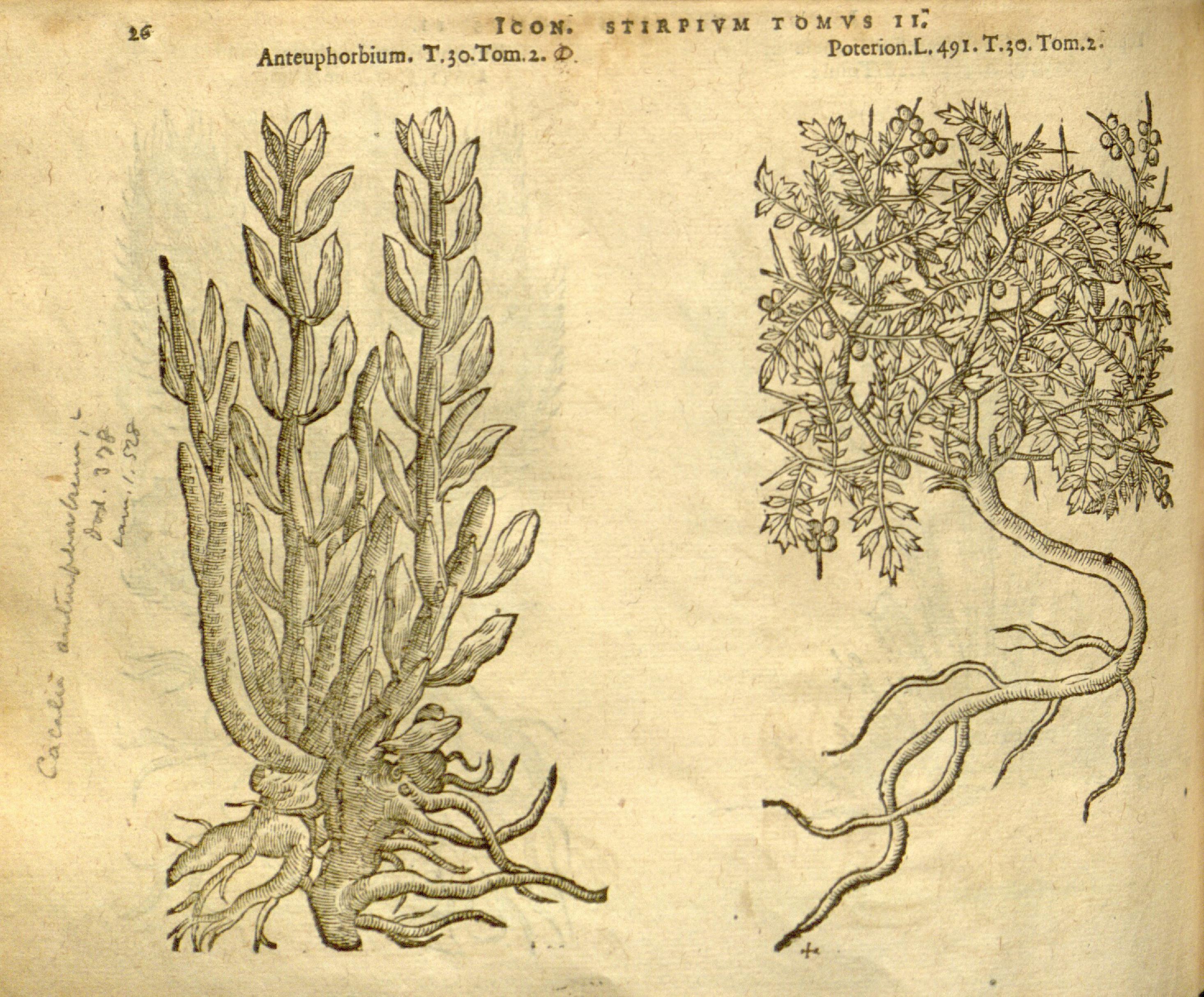 no full size  illustration available (3a)