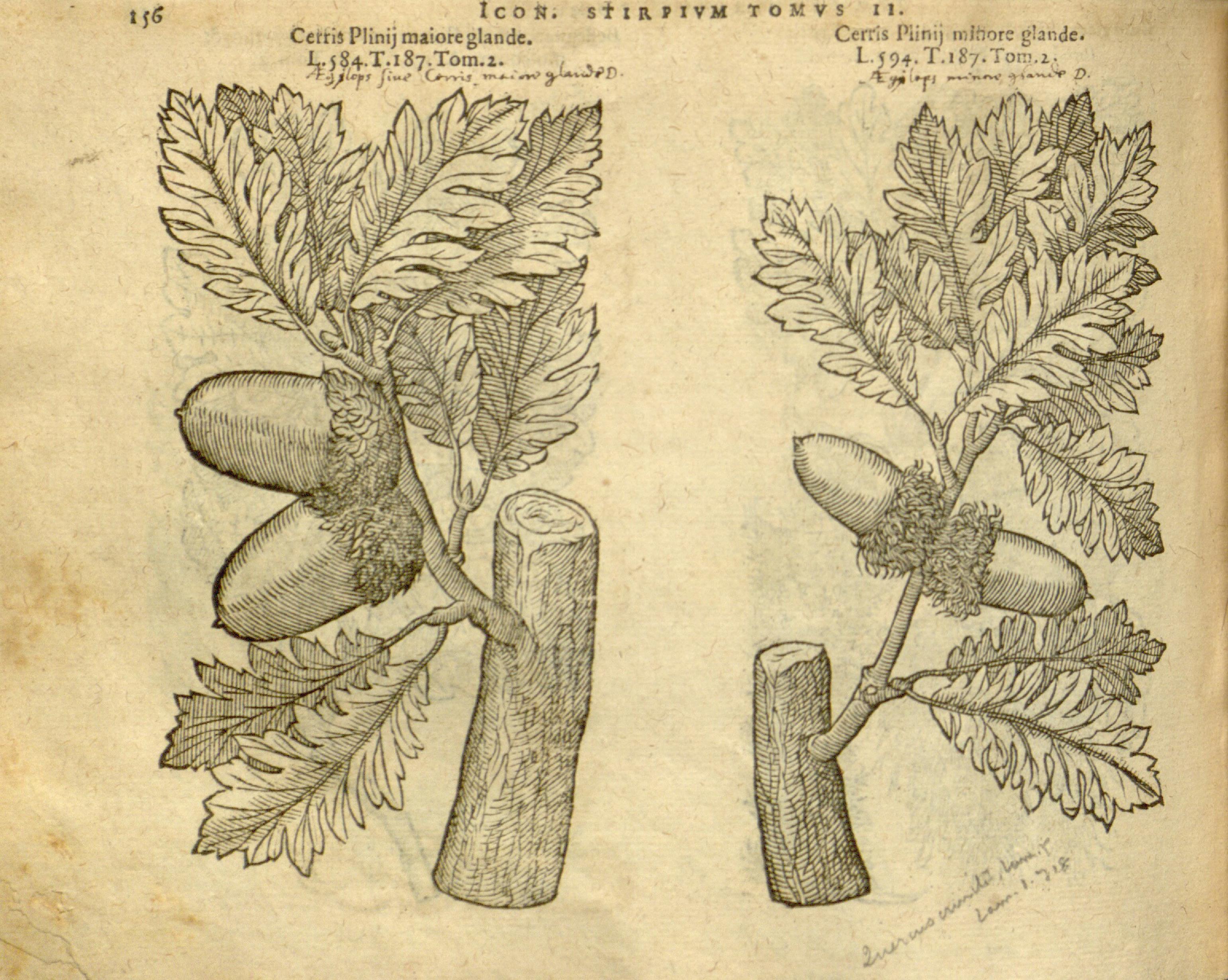 no full size  illustration available (3a)