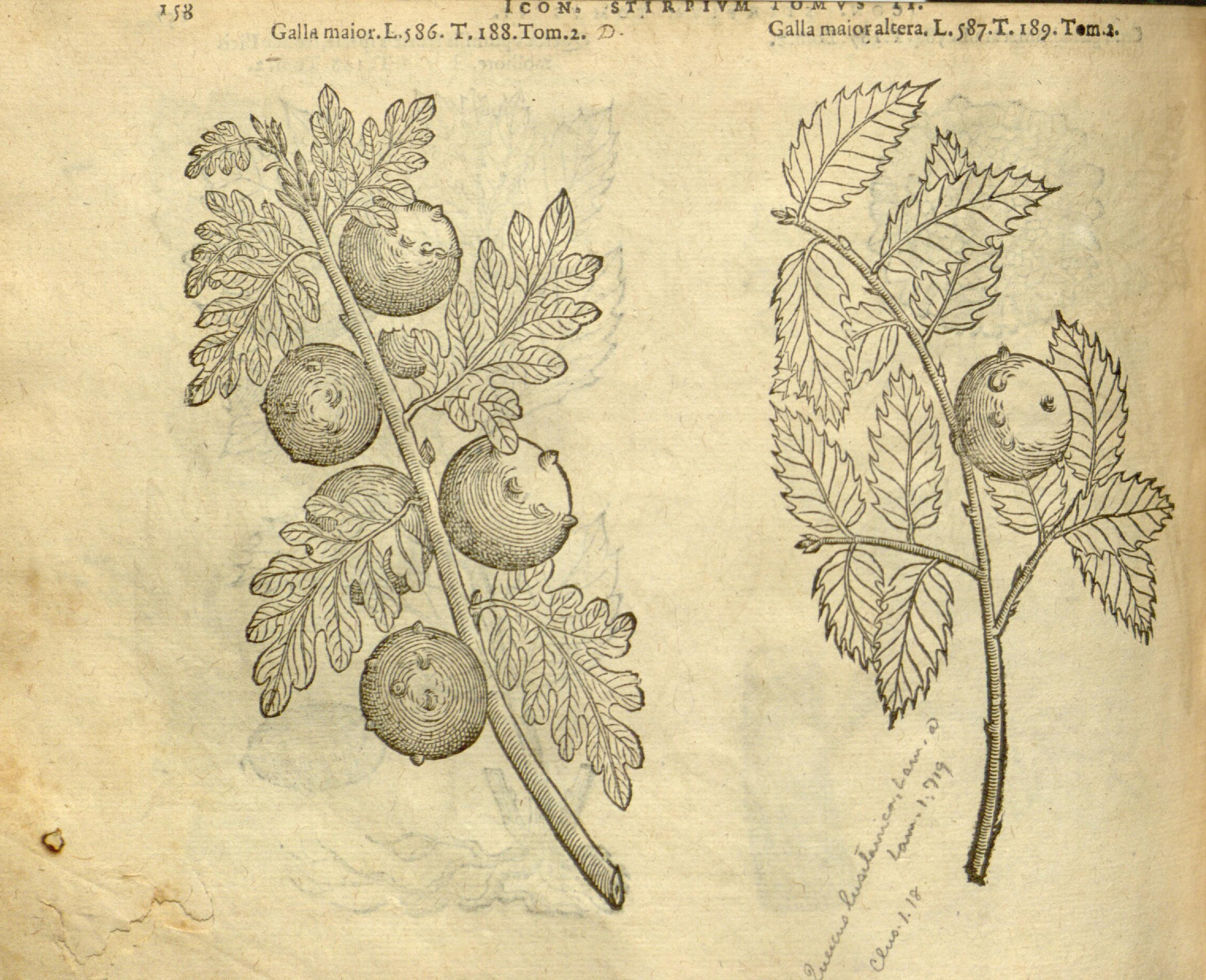 no full size  illustration available (3a)