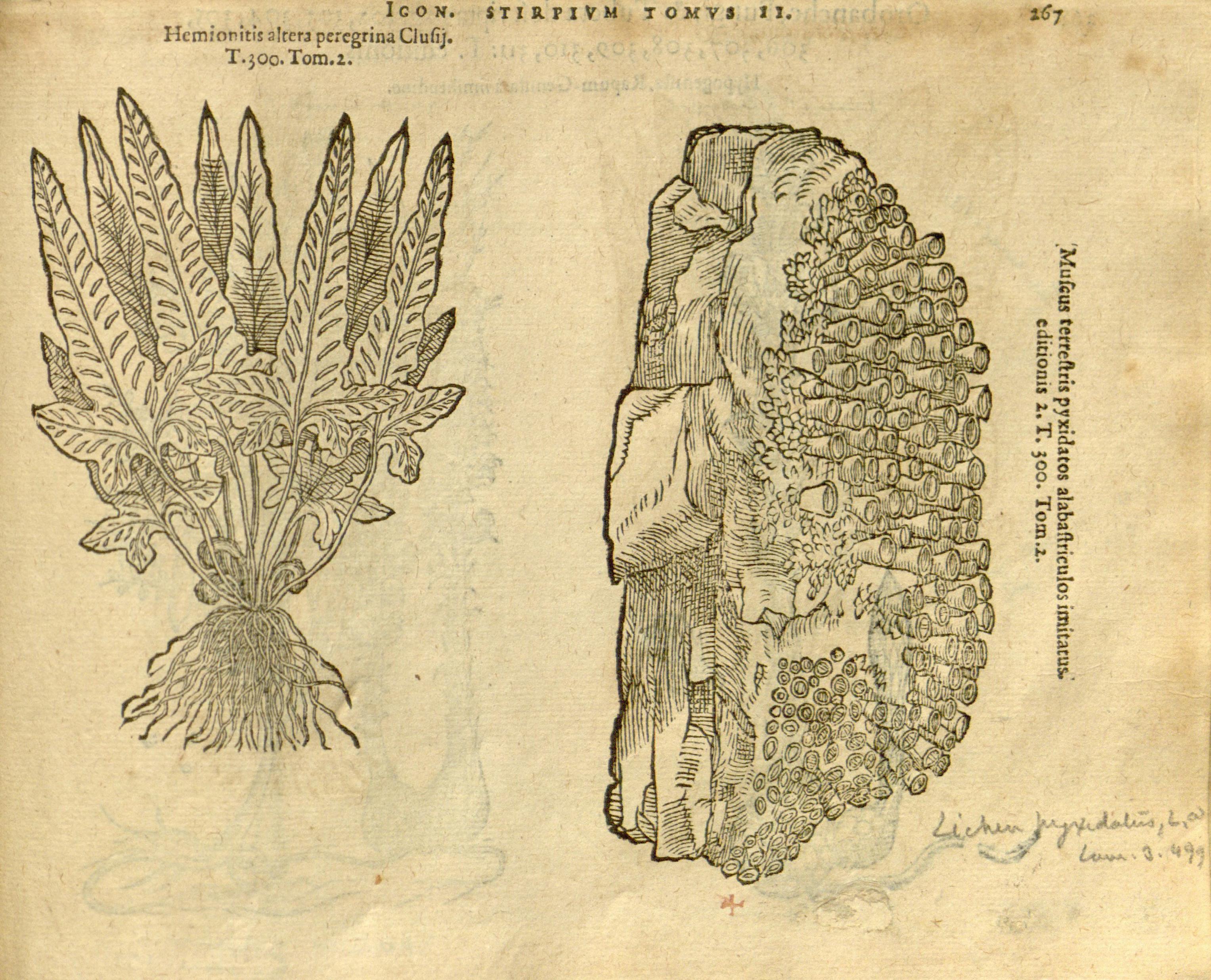 no full size  illustration available (3a)