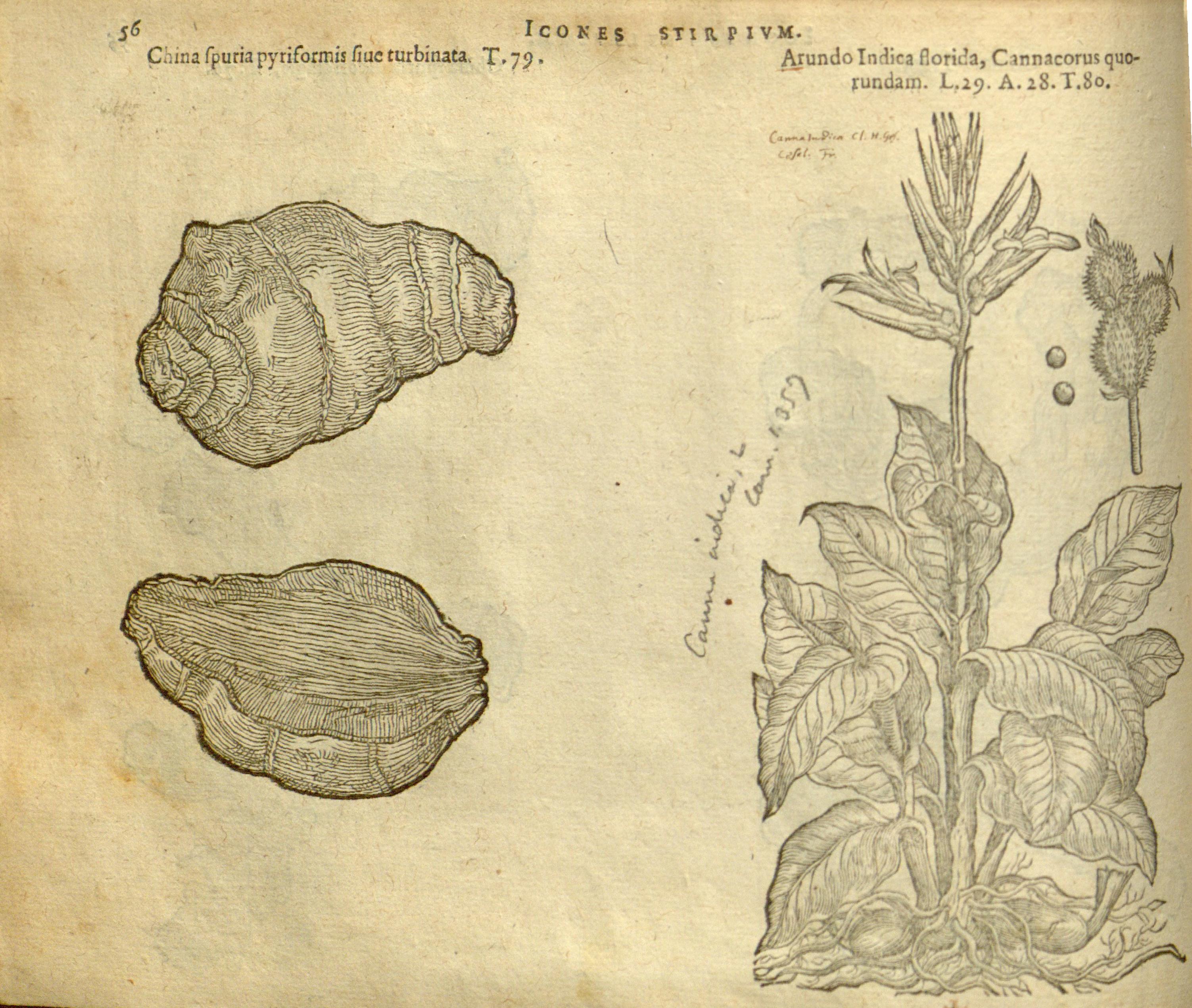 no full size  illustration available (3a)