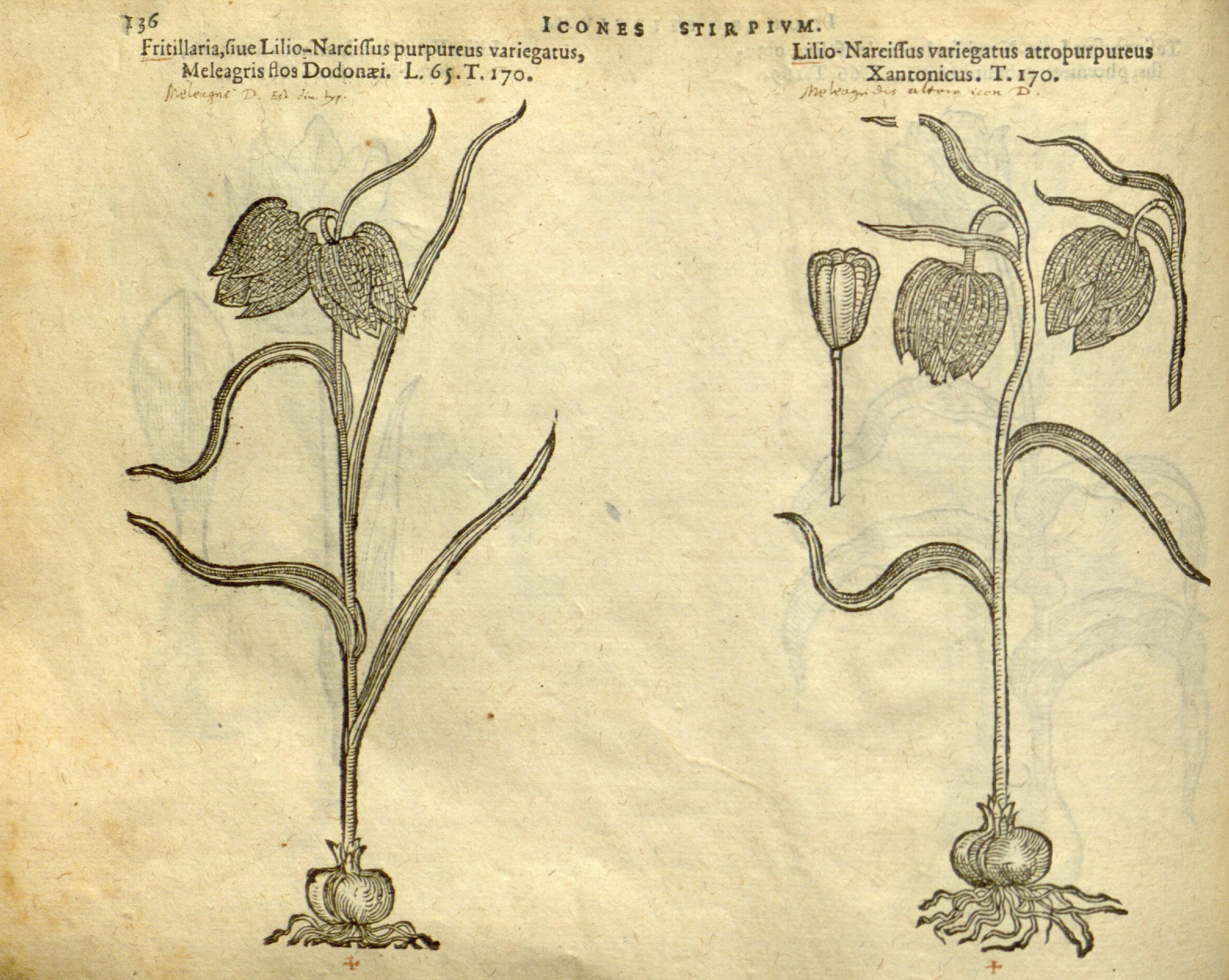 no full size  illustration available (3a)