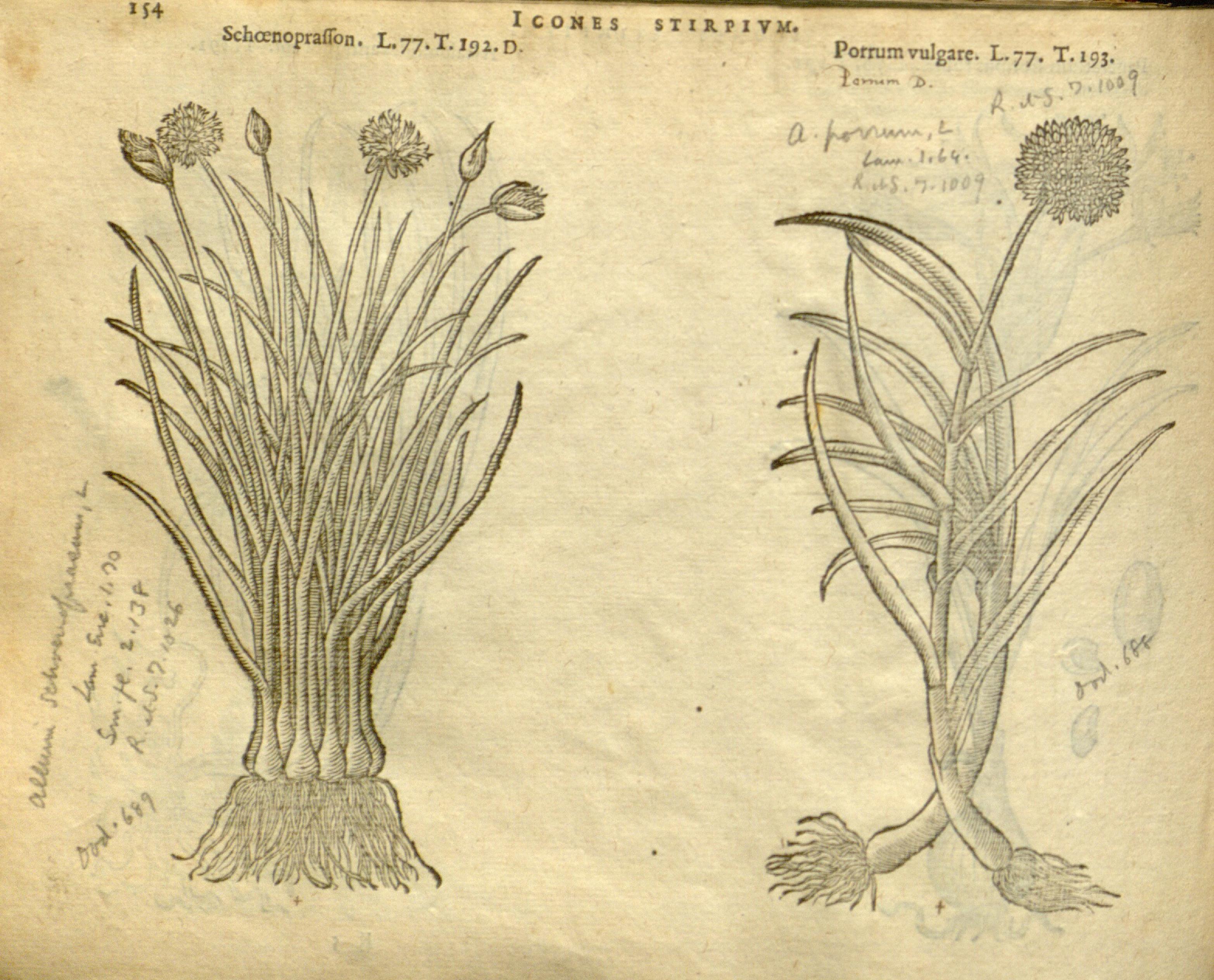 no full size  illustration available (3a)